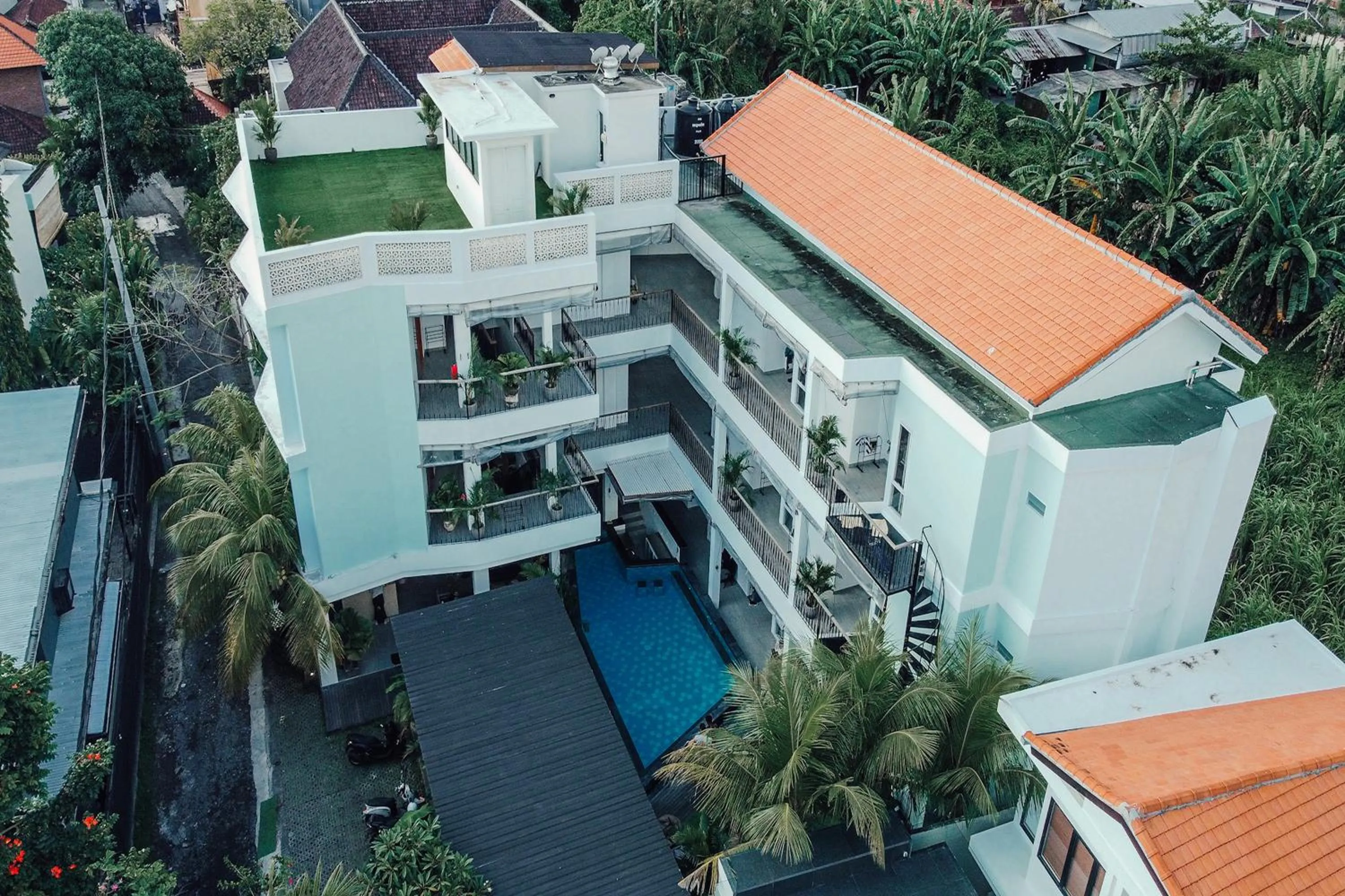 Coco & Pineapple Pants Hostel