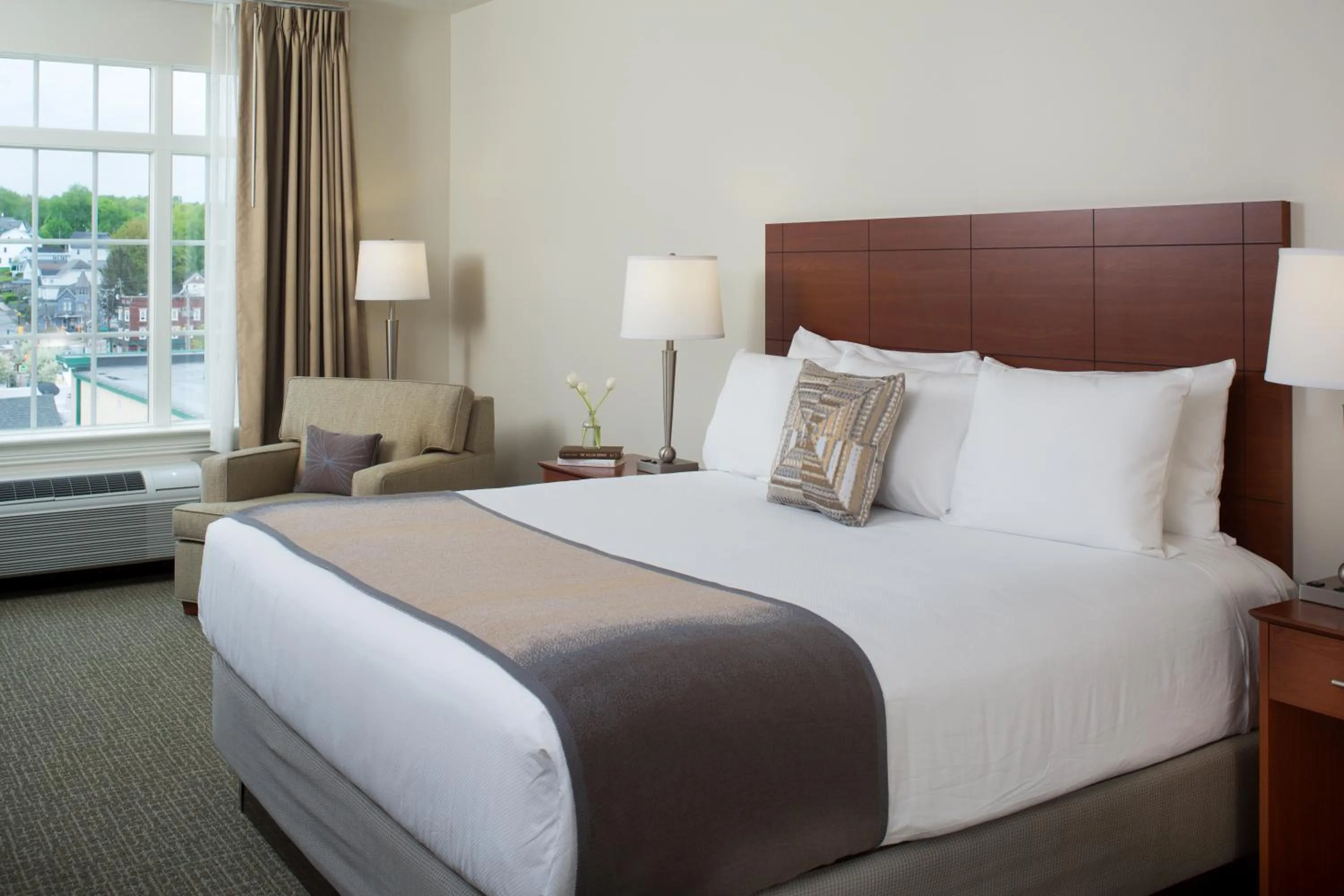 King Room in Hotel Anthracite