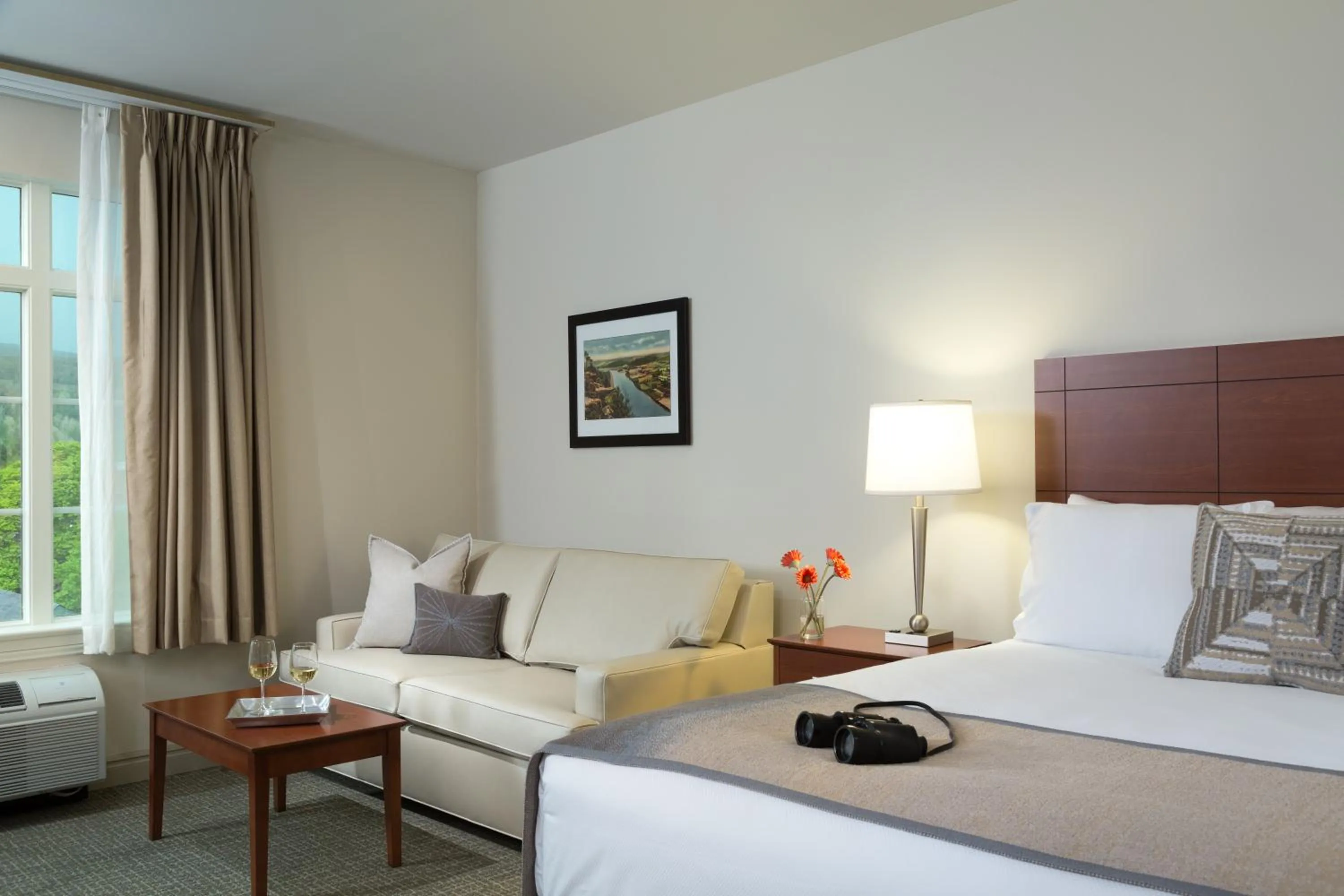 Deluxe King Room in Hotel Anthracite