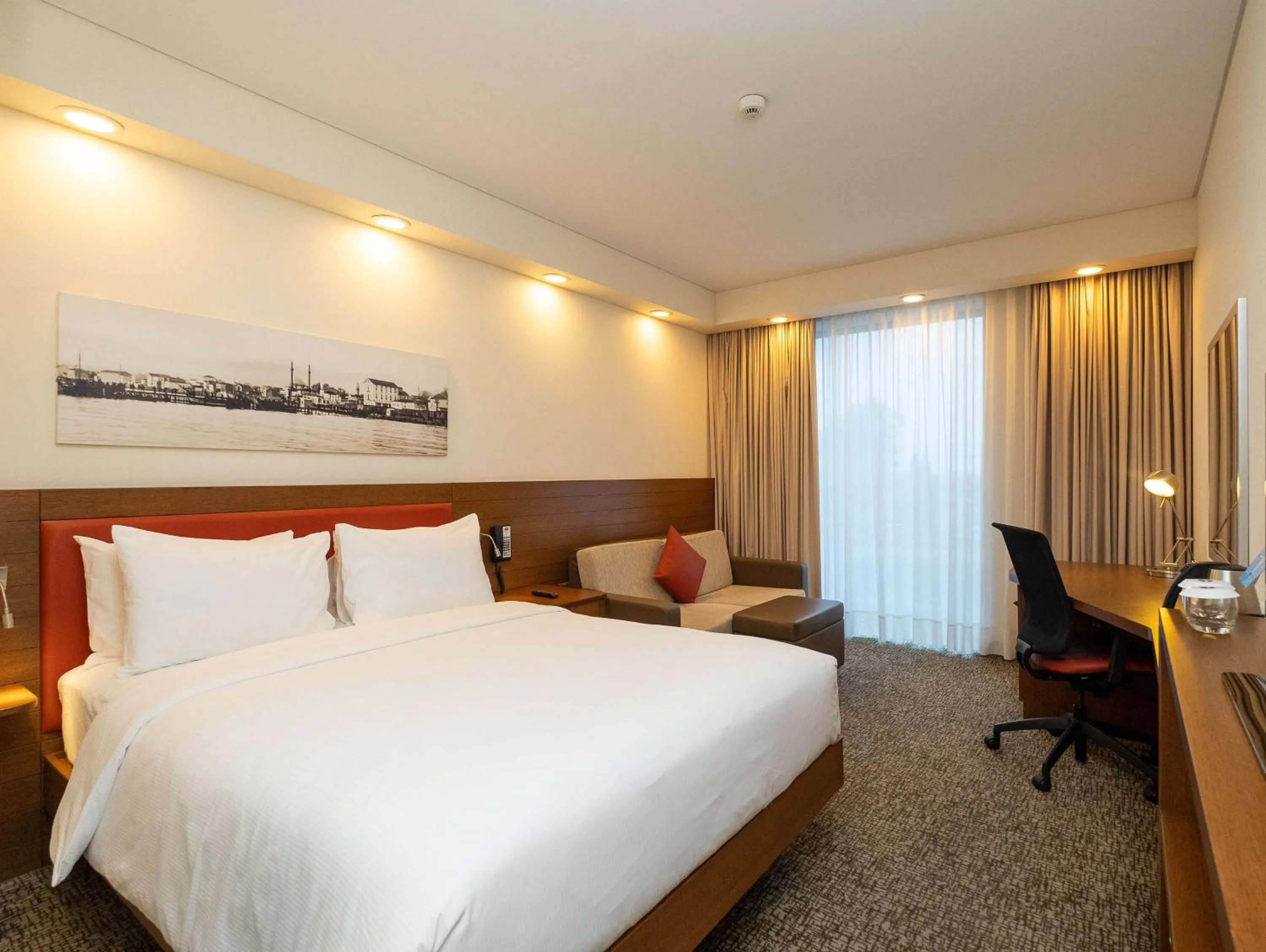 Queen Room with Sofa & Fridge - Non Smoking in Hampton by Hilton Samsun