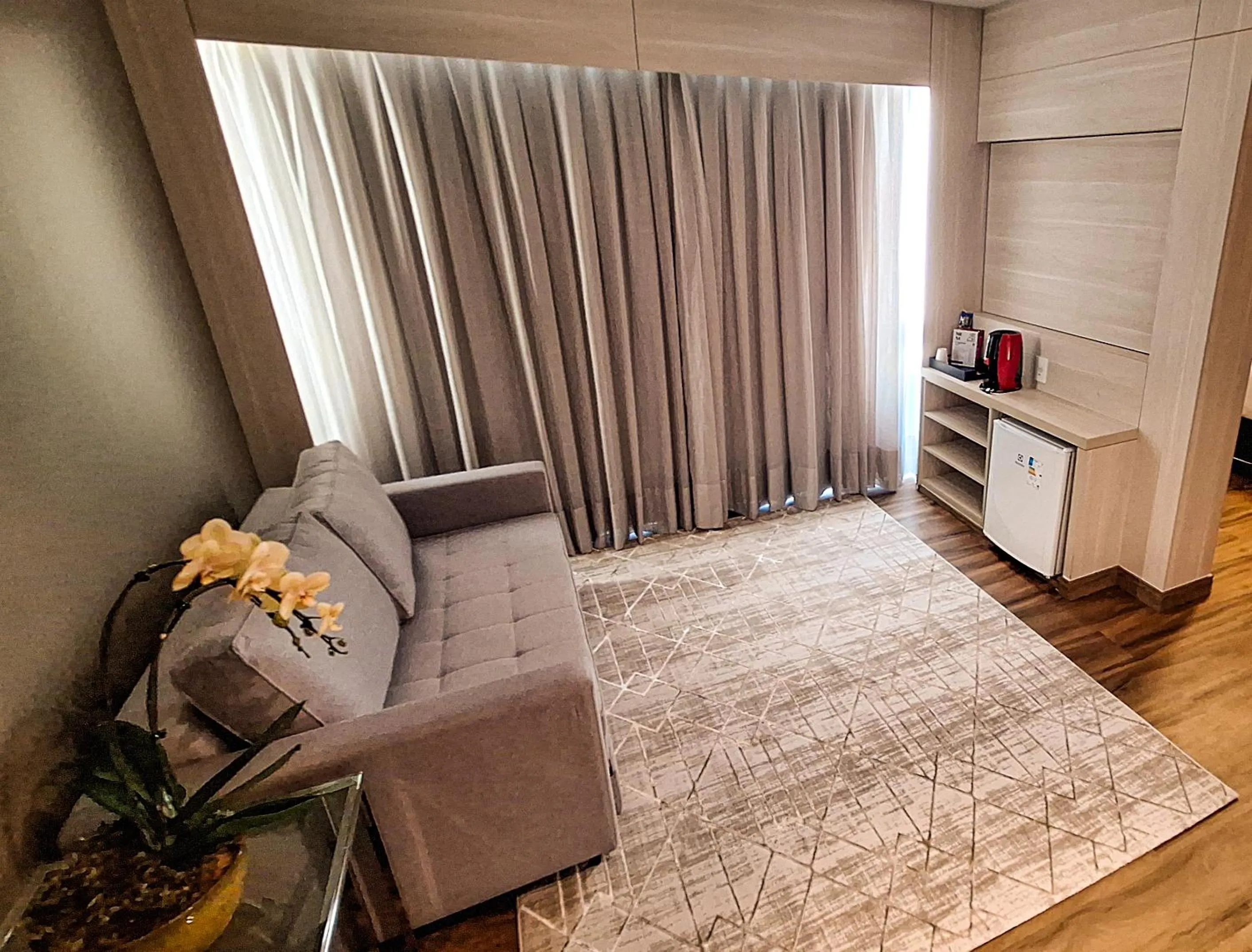 Studio with Sofa Bed - single occupancy in eSuites Belo Horizonte Minascasa