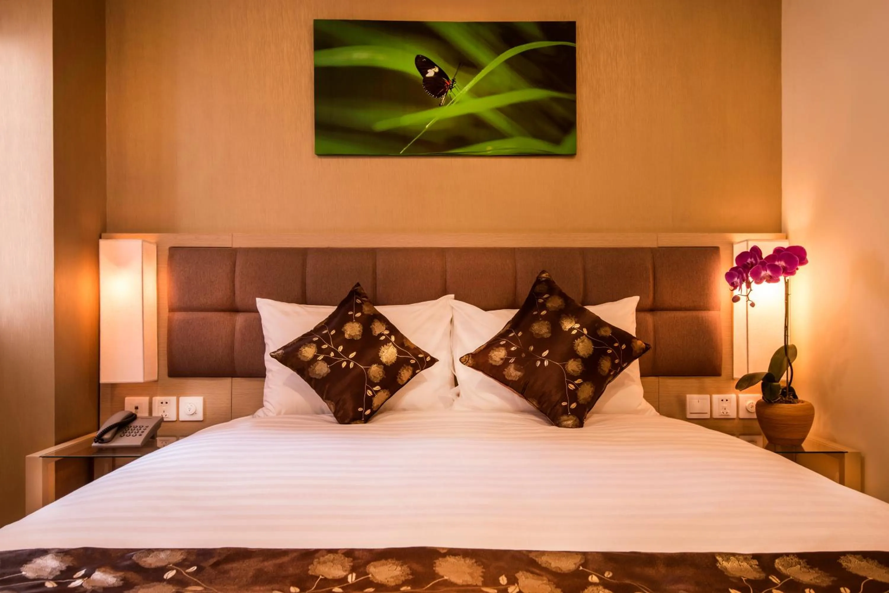 Superior Room (No Window) in GK Central Hotel