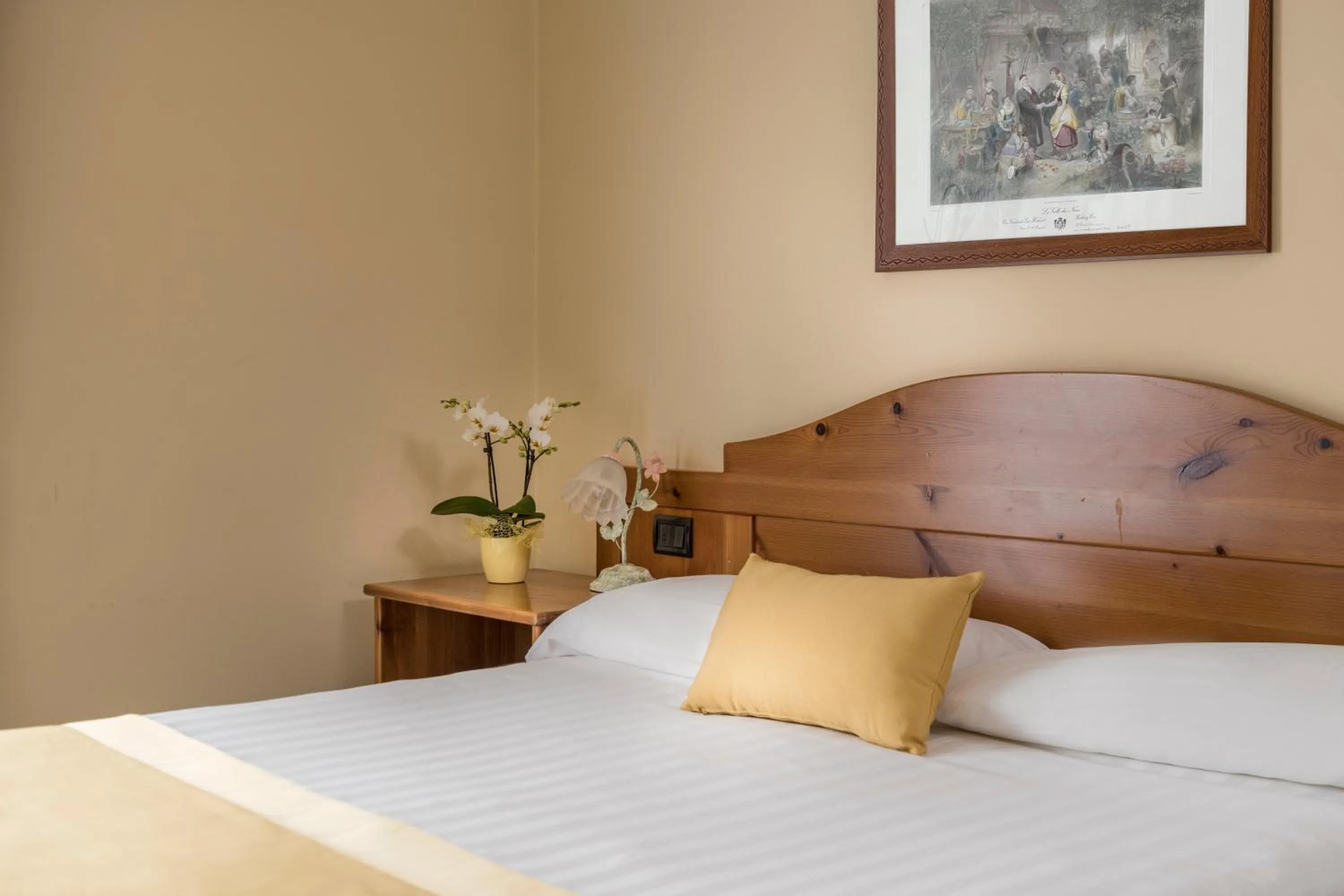 Classic Double Room in Hotel Cristallo