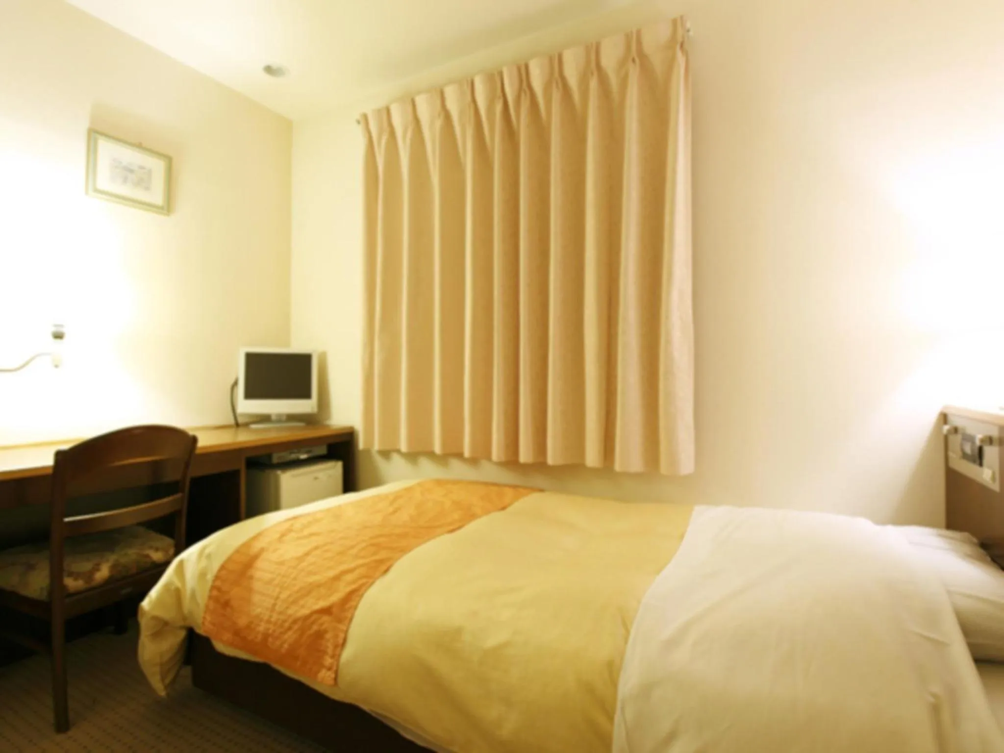 Single Room - Non-Smoking in Hotel New Ueno