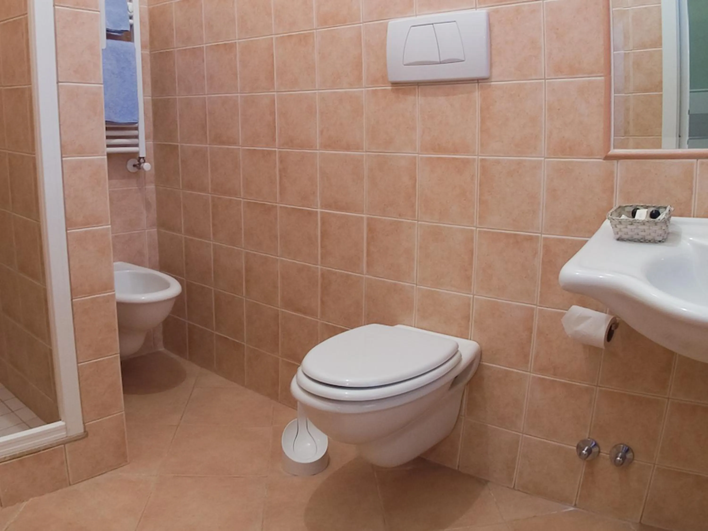 Deluxe Single Room - single occupancy in Hotel Louis II