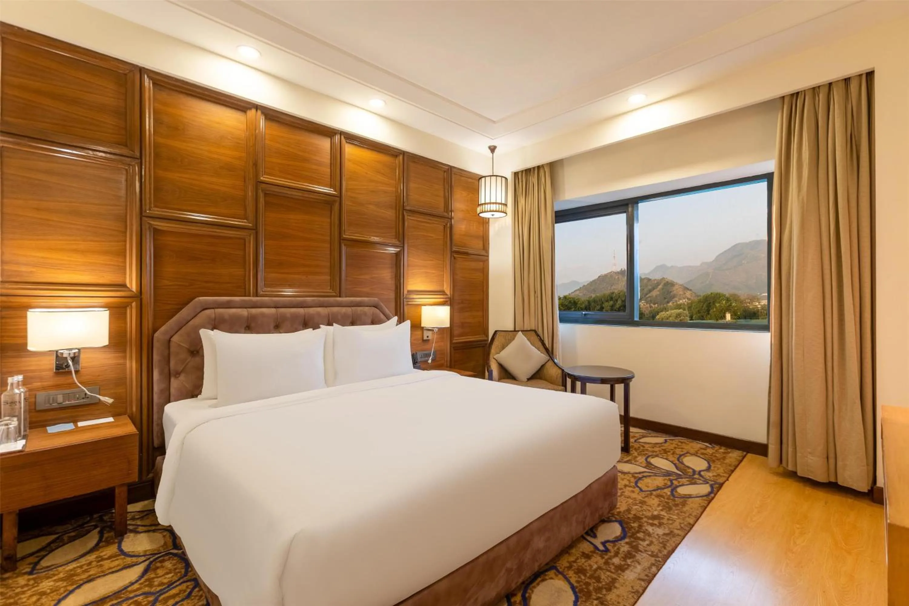 Business Class Room with 15% discount on food & Soft Beverages in Radisson Srinagar