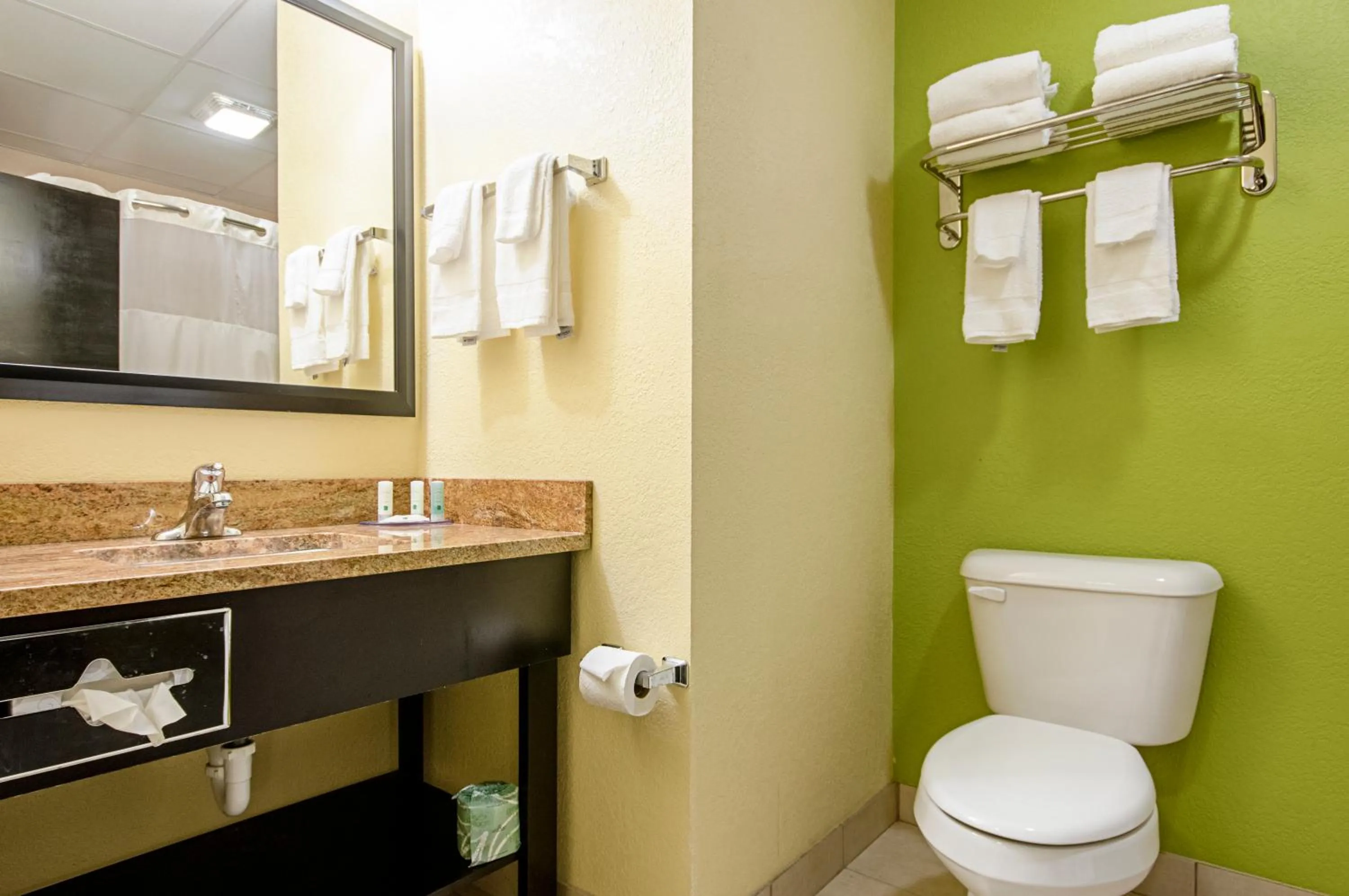 Superior King Room with Sofa Bed - Non-Smoking in Quality Inn & Suites Glenmont - Albany South