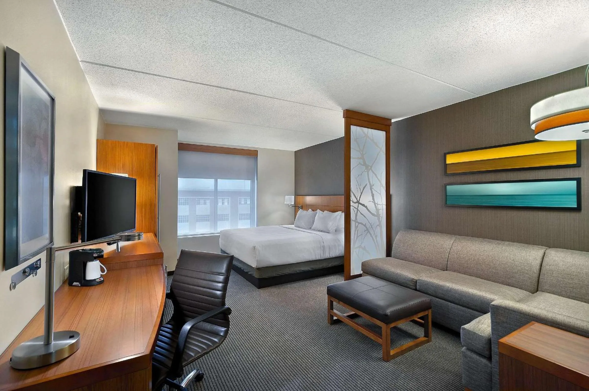 King Room with Sofa Bed and Roll-In Shower - Disability Access in Hyatt Place Fredericksburg at Mary Washington