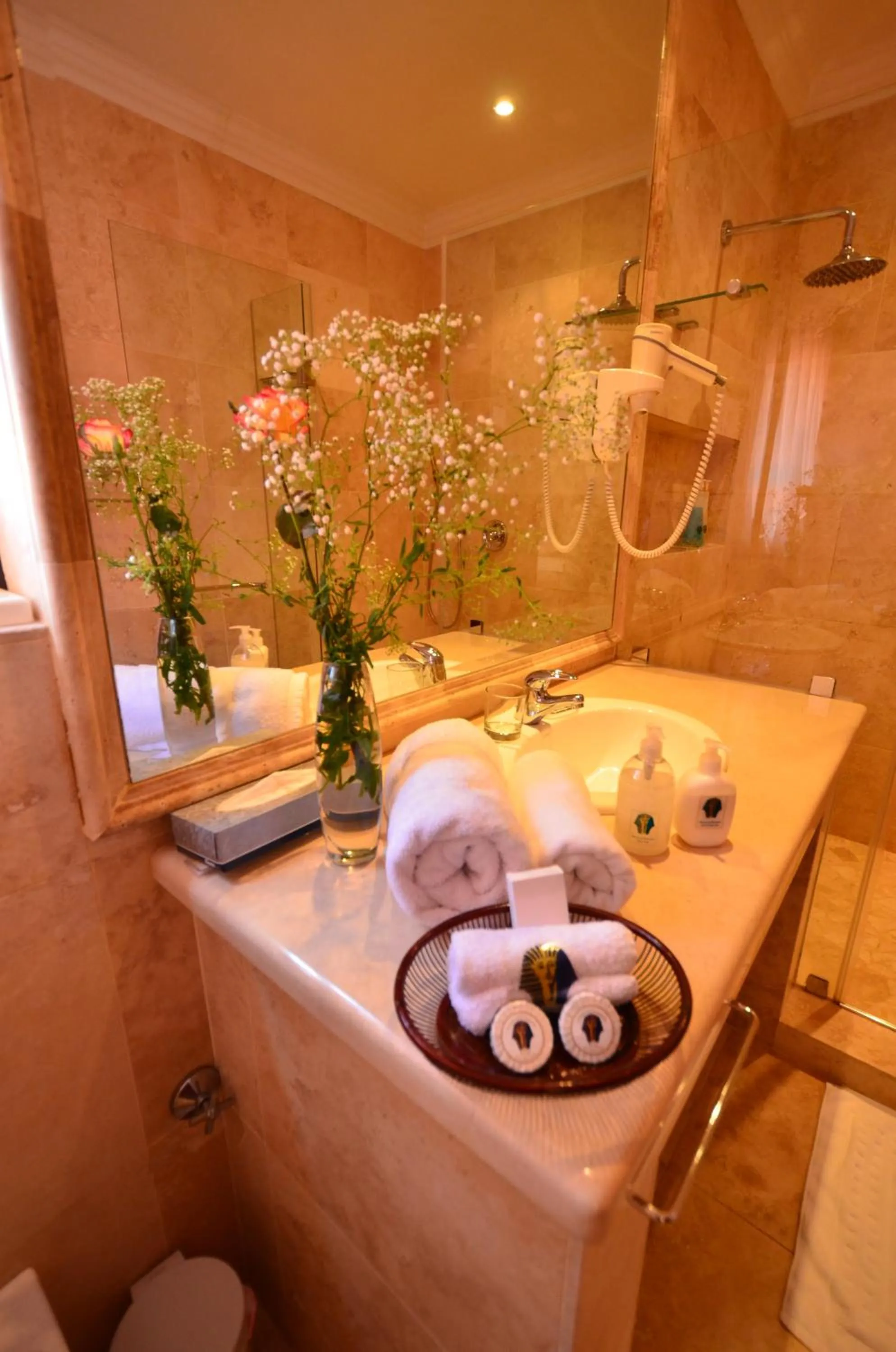 Double Room - single occupancy in Summerview Boutique Hotel & Conference