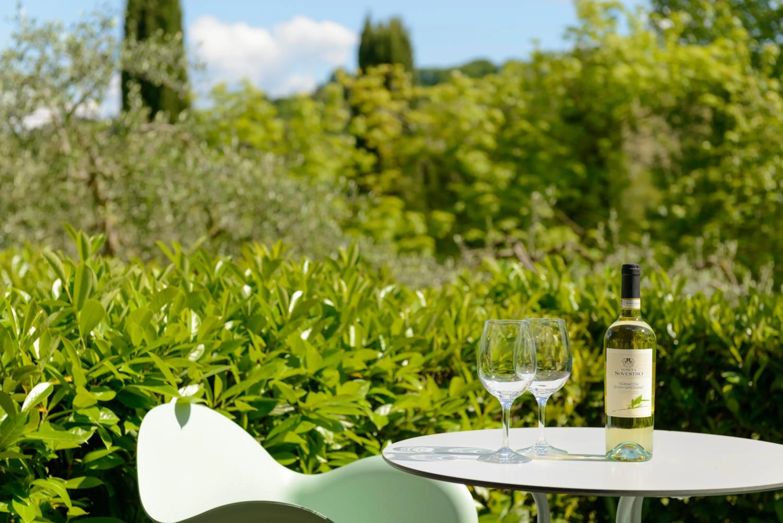 Double Room with Patio in Hotel Sovestro