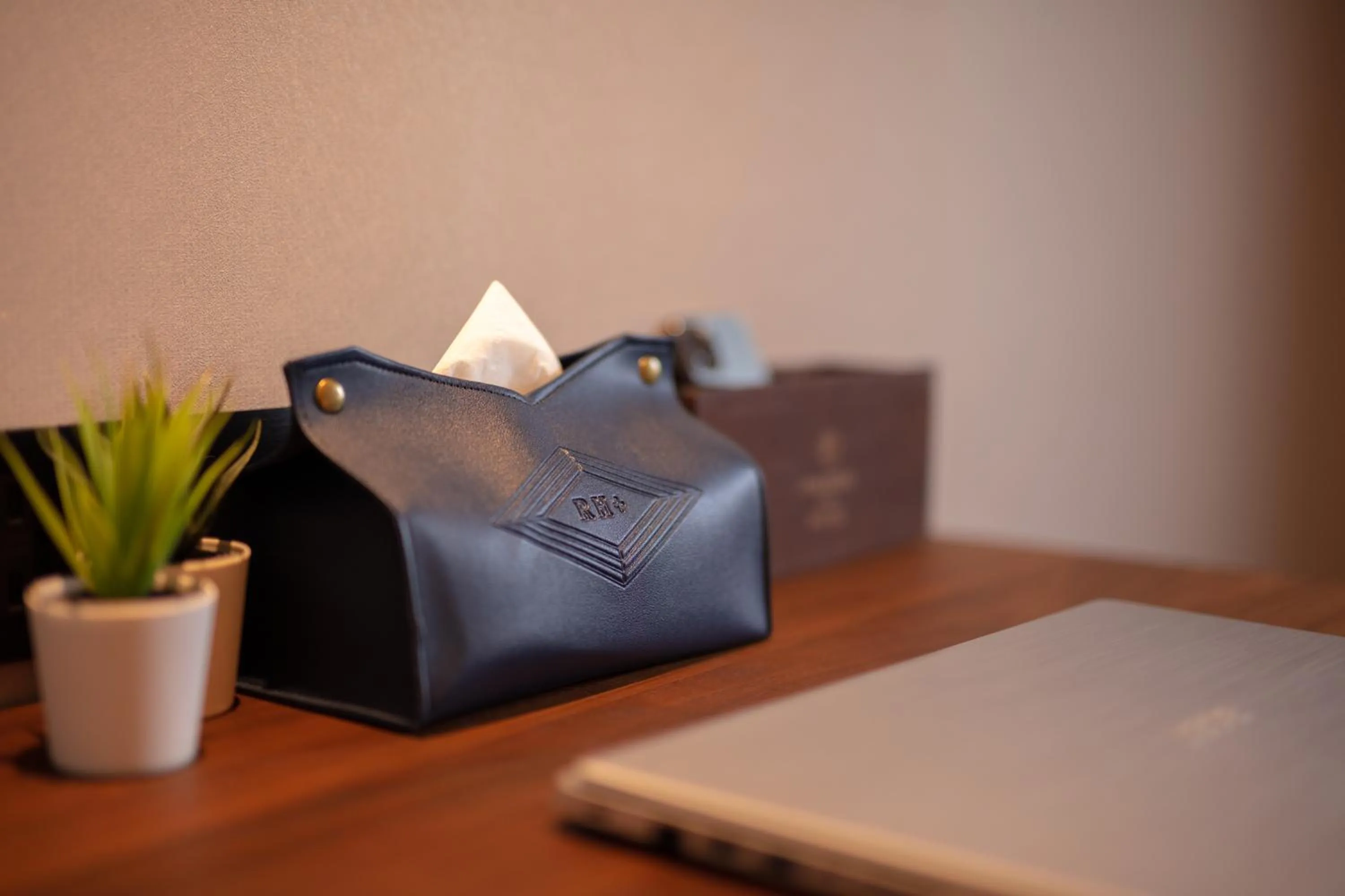 Premium Double Room in Roaders Plus Hotel - Theme