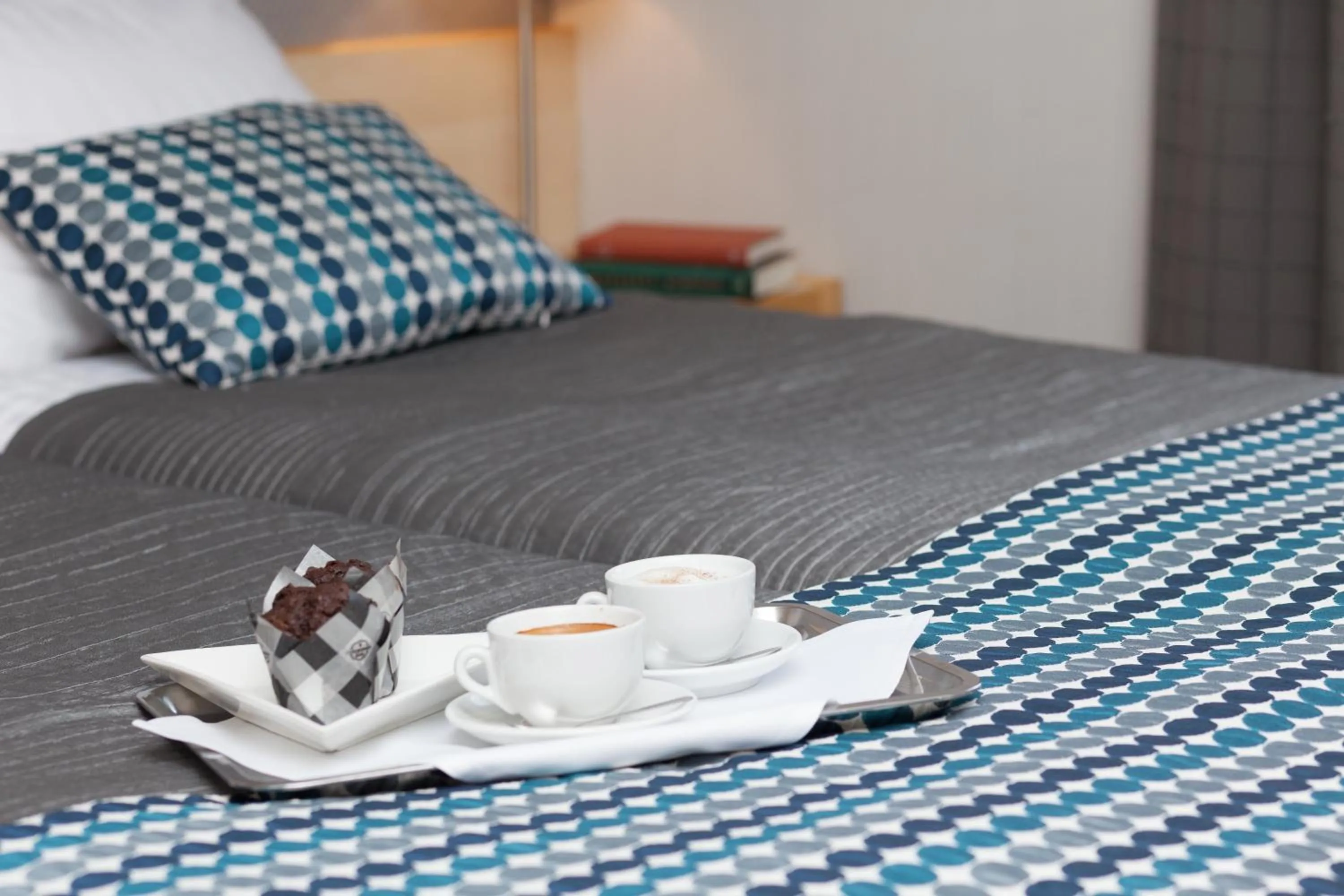 Double or Twin Room in Hotel Perła