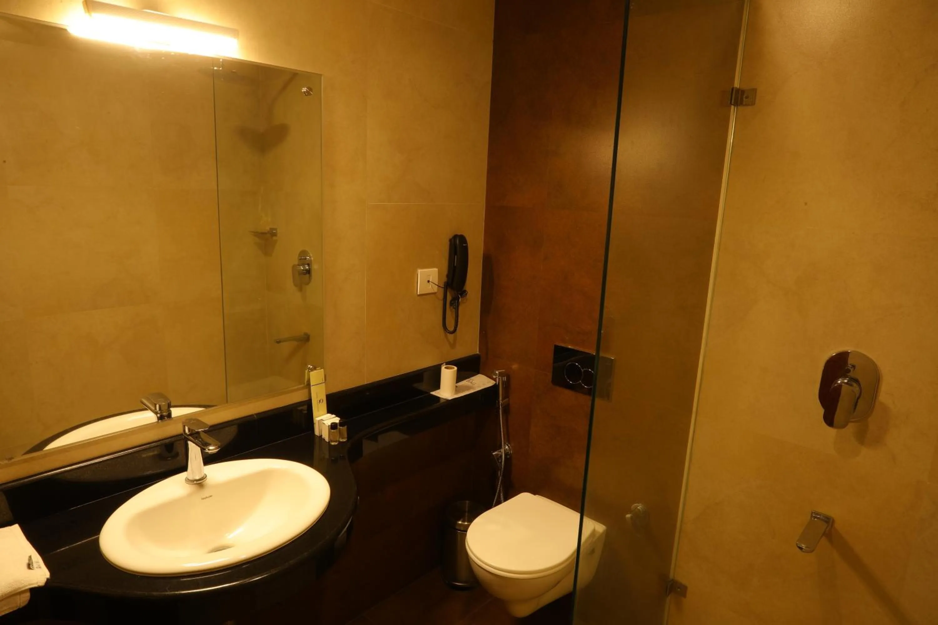 Deluxe Double Room - single occupancy in Quality Airport Hotels