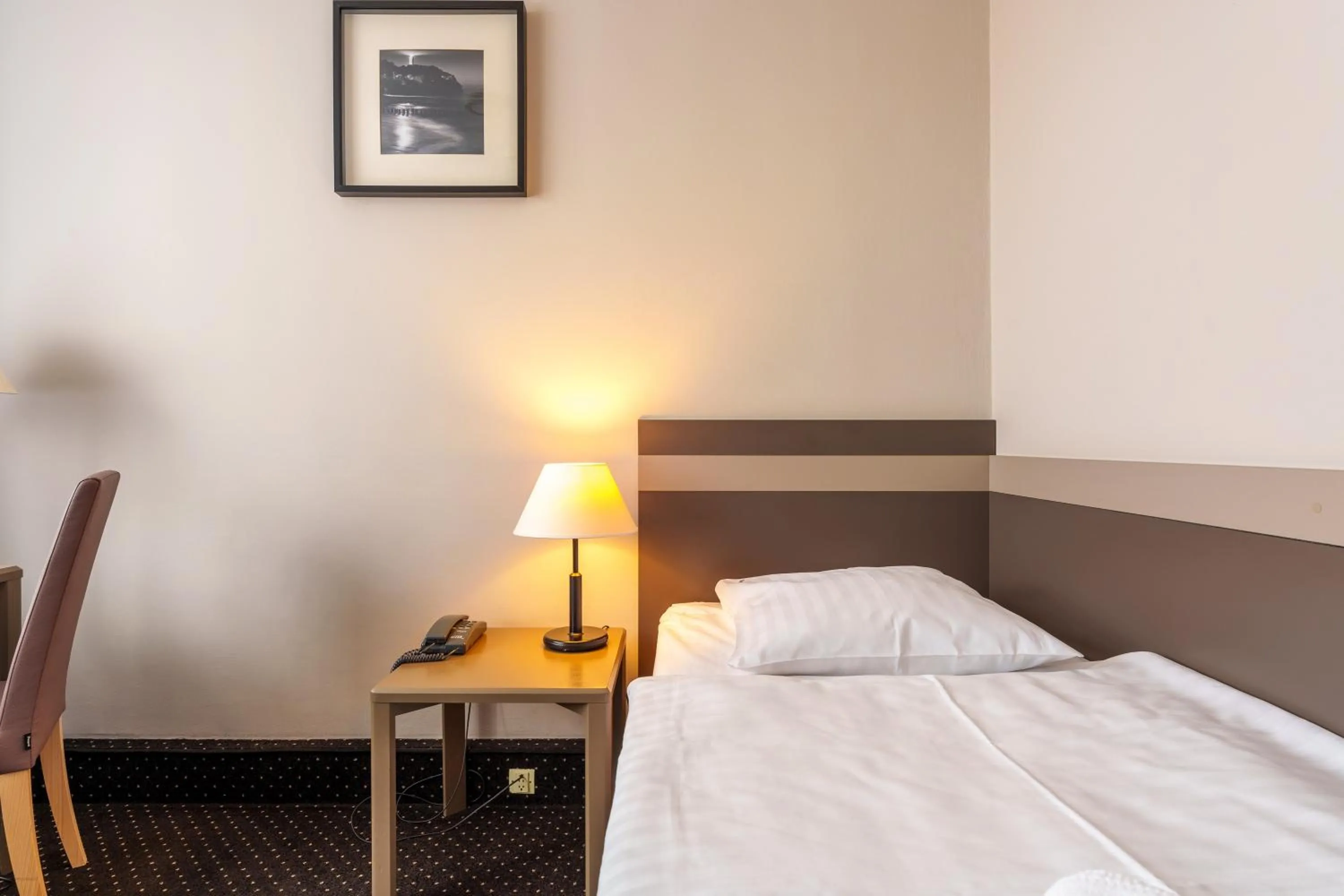 Single Room in Hotel New Skanpol