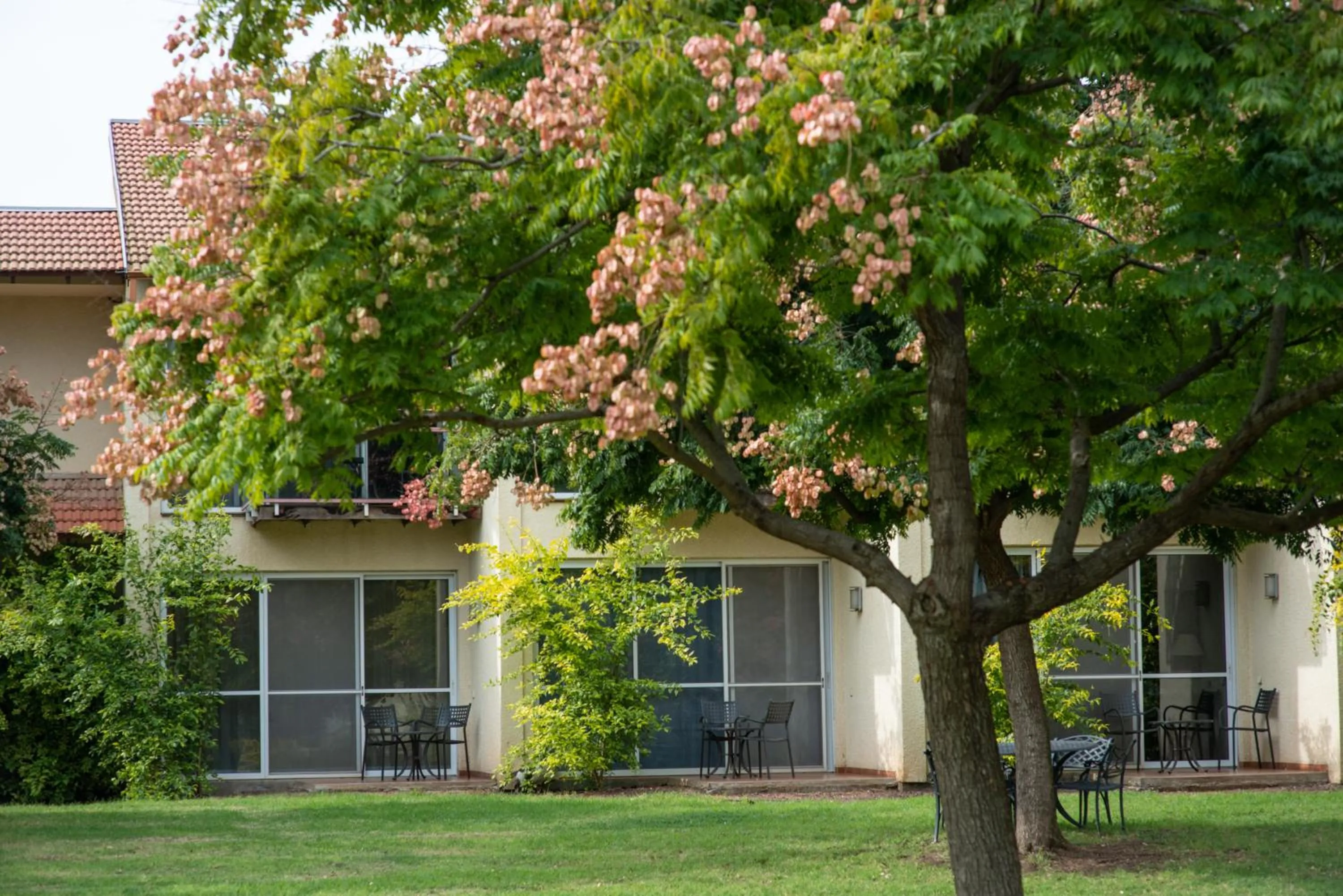 Classic Garden Room with Terrace - single occupancy in Pastoral Hotel - Kfar Blum