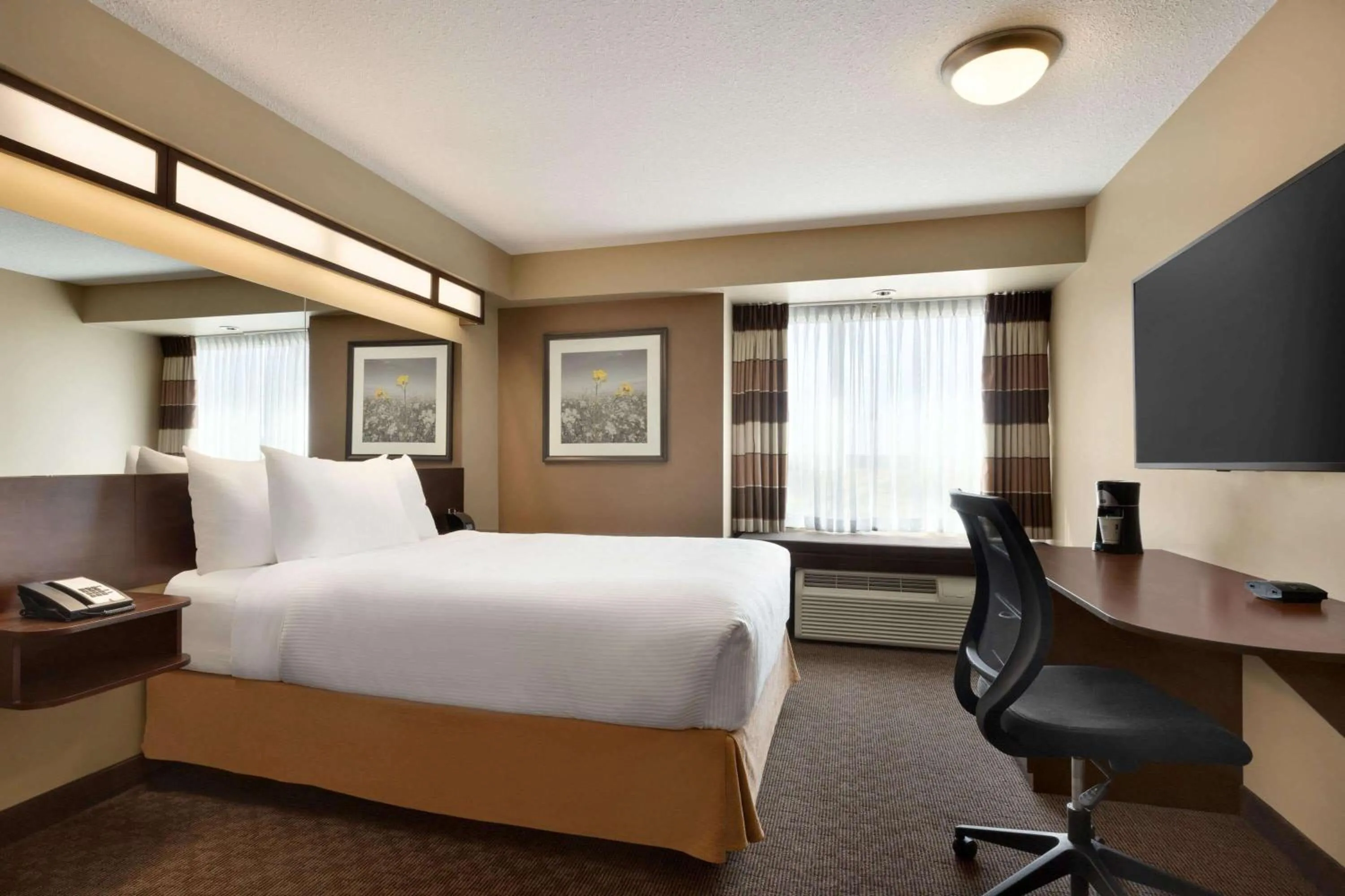 Queen Room with Roll-In Shower - Mobility Accessible/Non-Smoking in Microtel Inn and Suites by Wyndham Weyburn