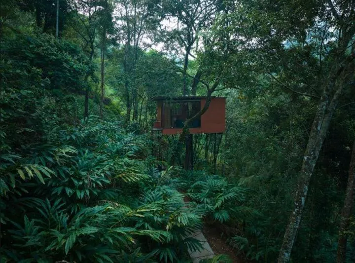 LUXURY TREE HOUSE in Eterno Camellia & Elettaria Resort with Pool