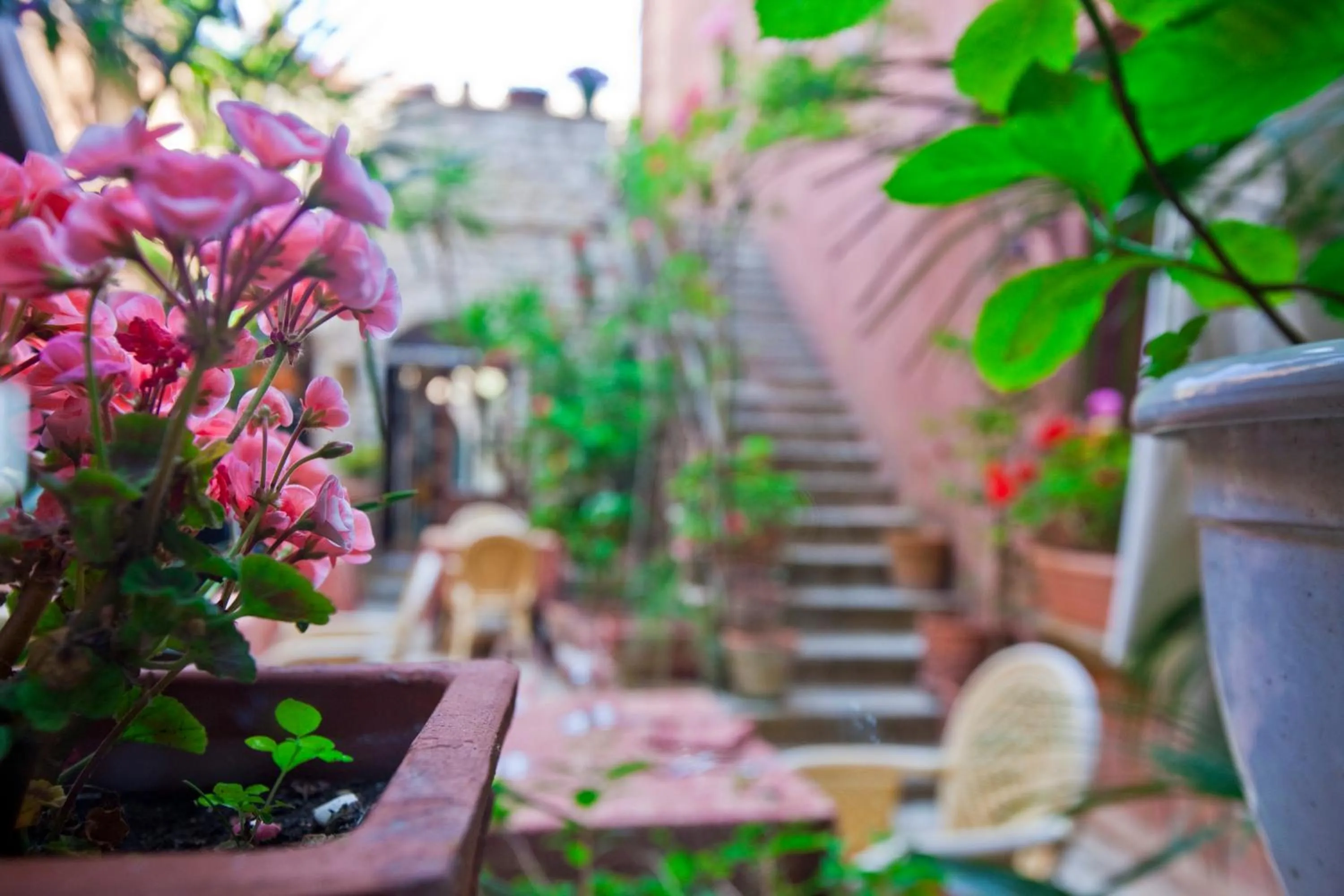 Family Suite - single occupancy in Hotel Elimo