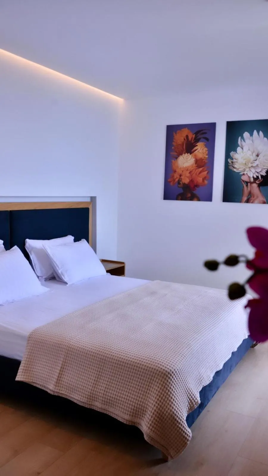 Deluxe Double Room with Garden View in Hotel Nertili