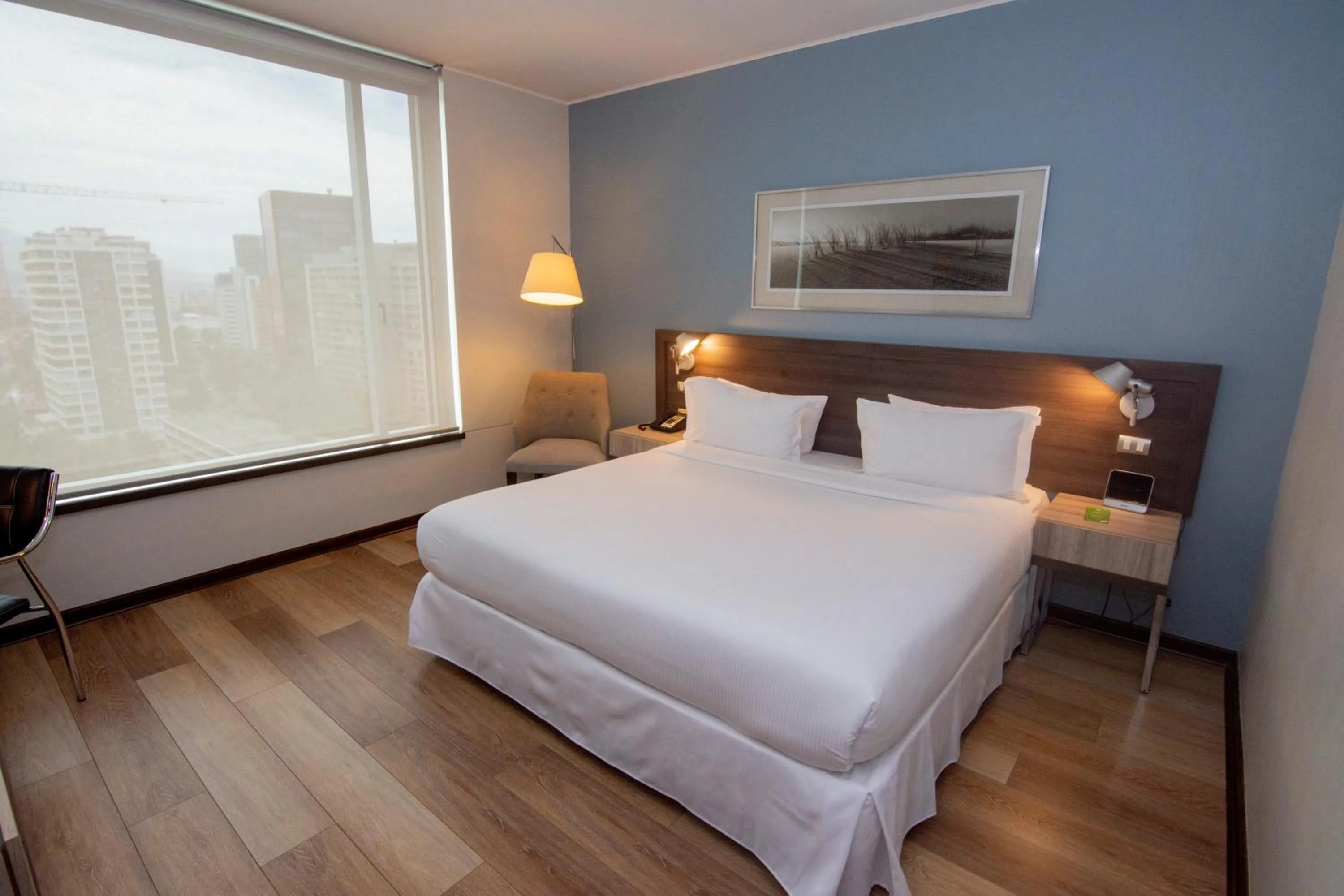 King Room - Accessible/Non-Smoking in Radisson Blu Plaza El Bosque Santiago