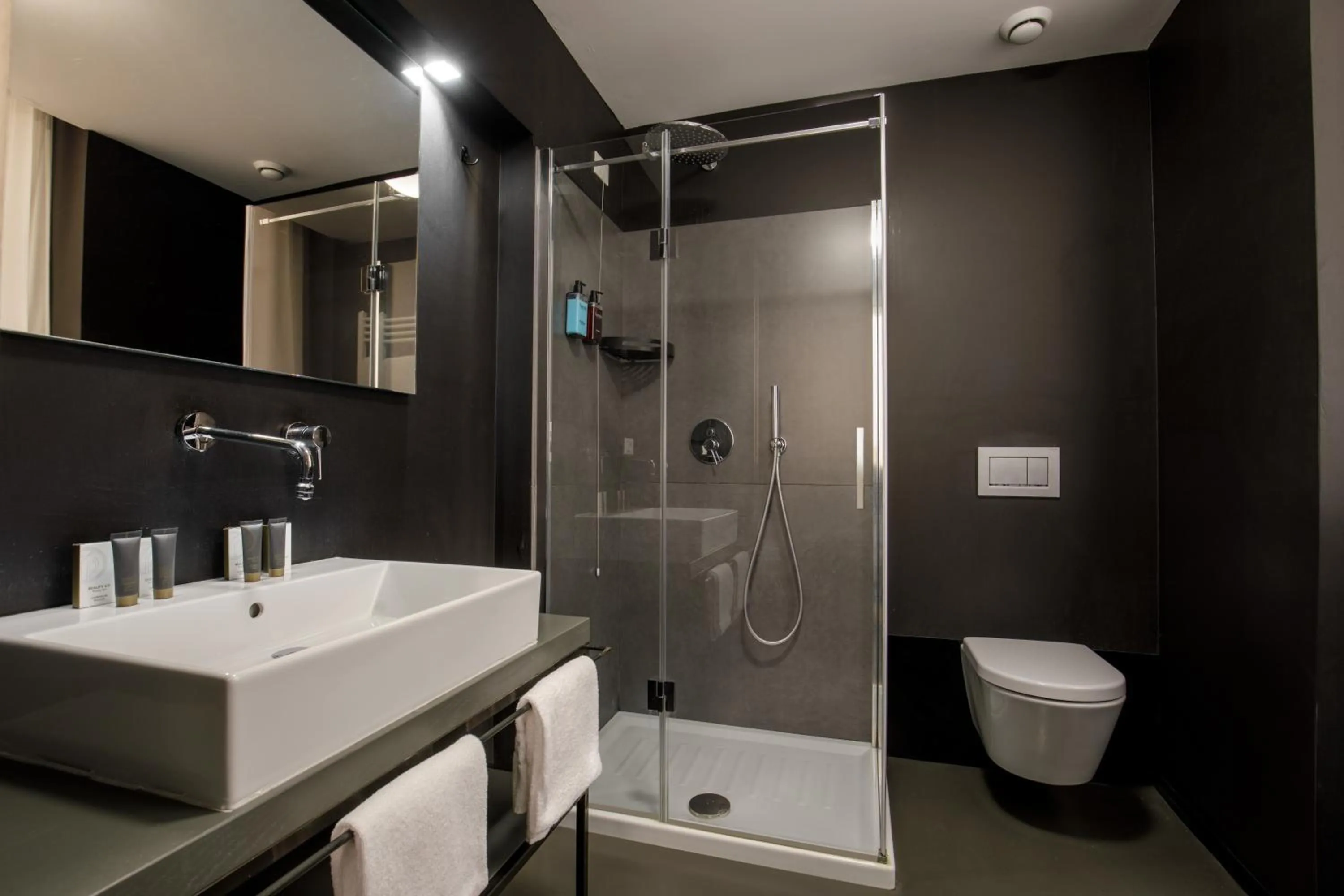 Standard Double Room in Coronari Palace