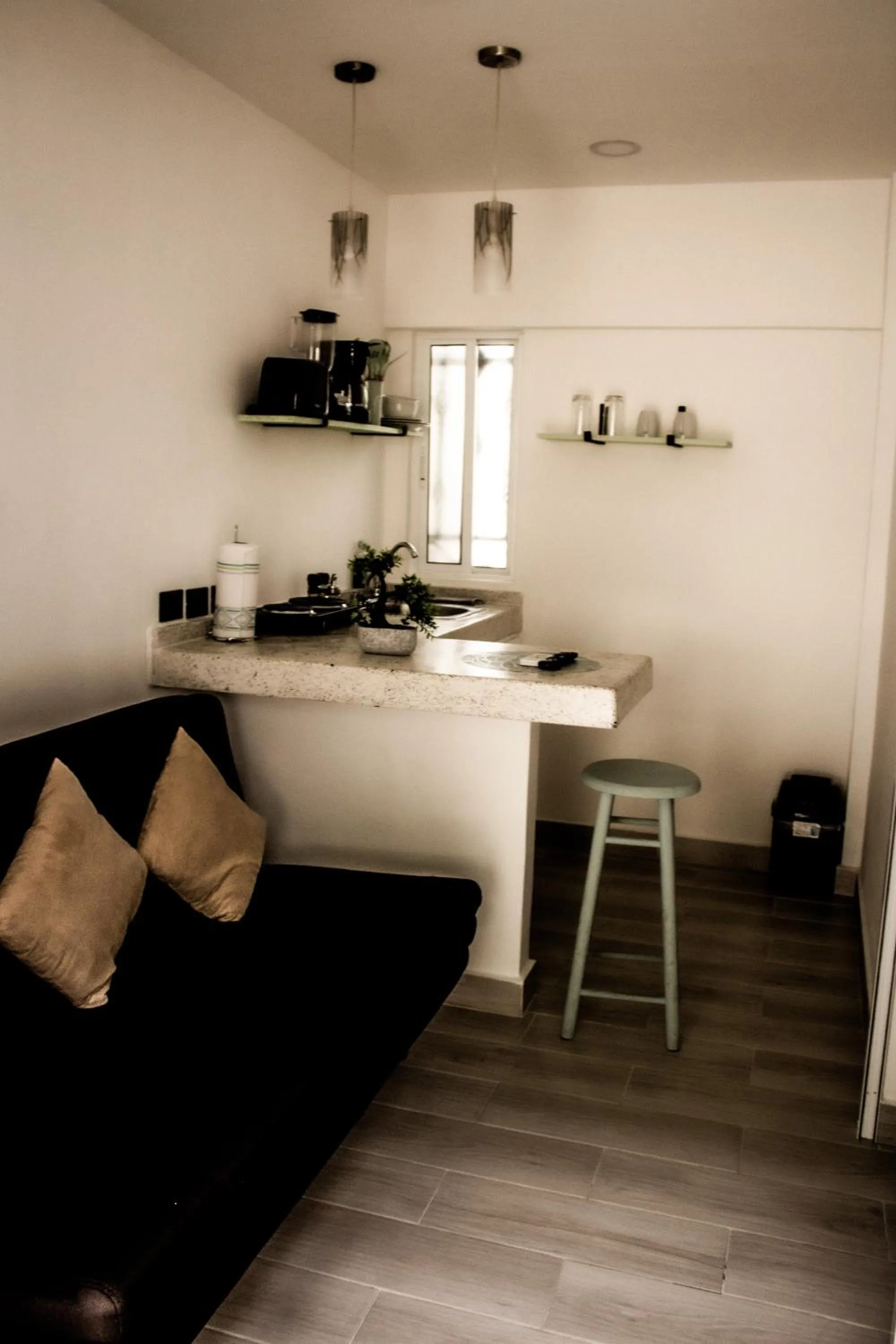 One-Bedroom Apartment in La Quinta Caribeña