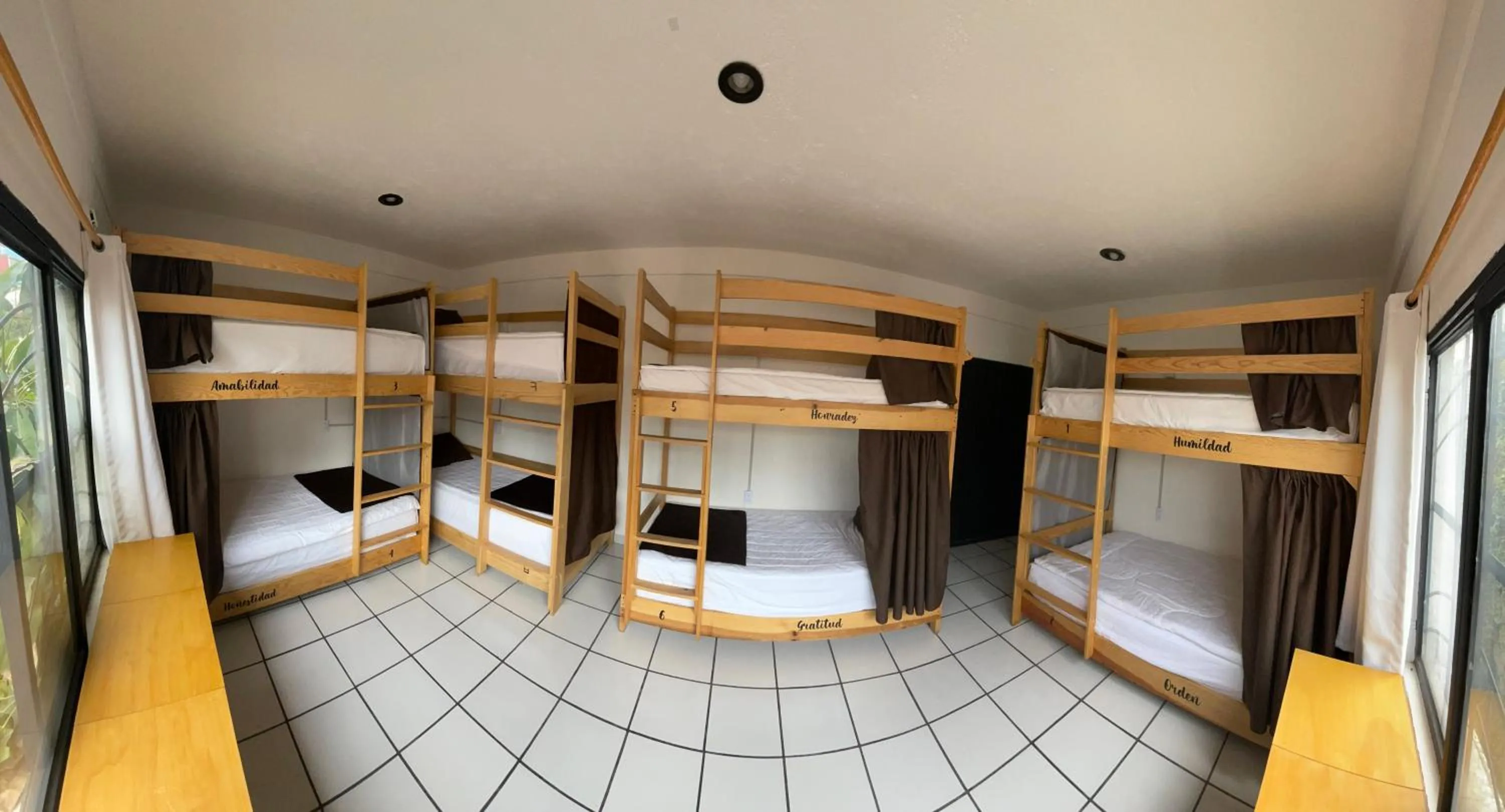 Bunk Bed in Mixed Dormitory Room in Hostal Roma Condesa