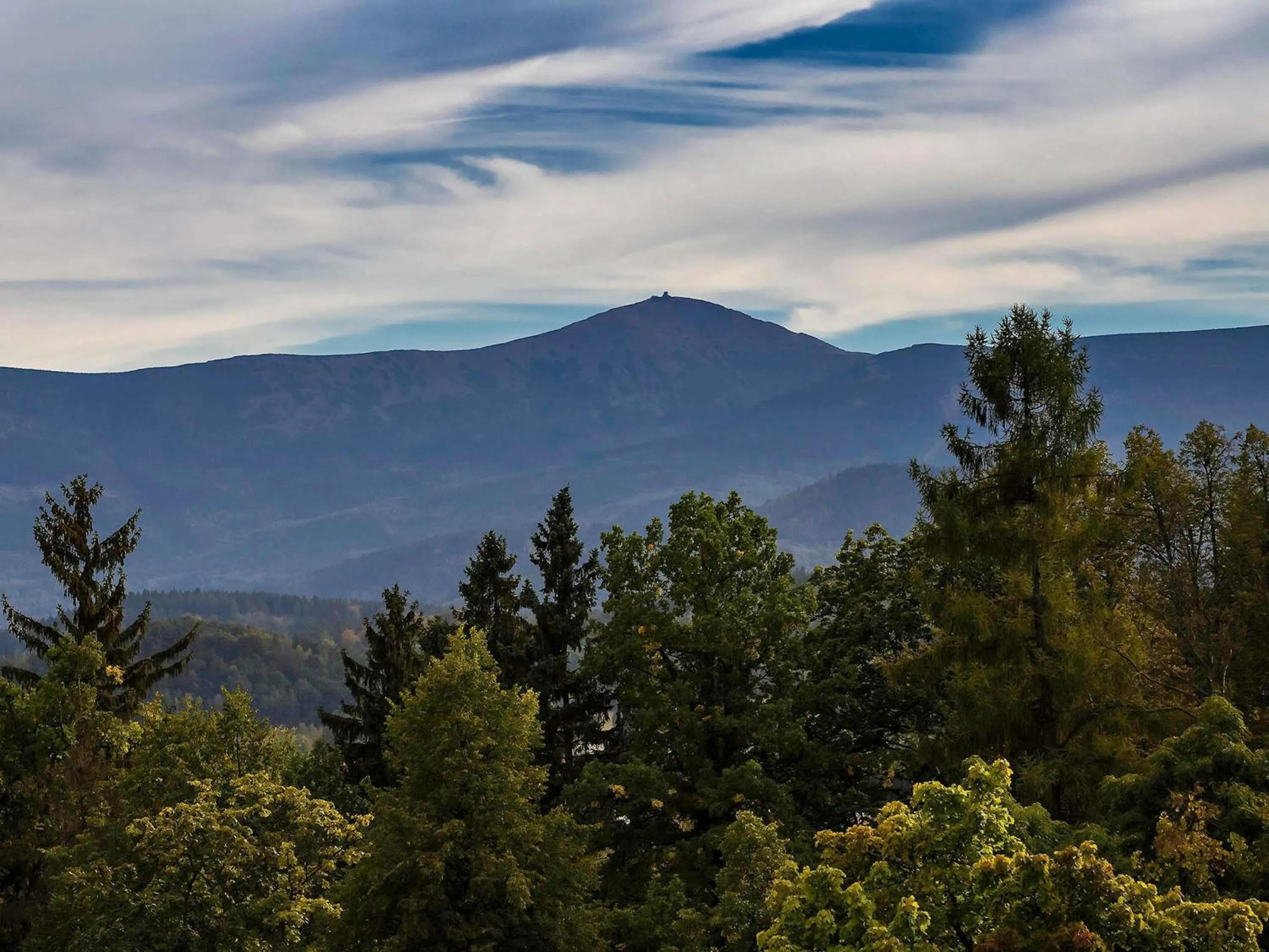 Standard Single Room in Mercure Jelenia Góra