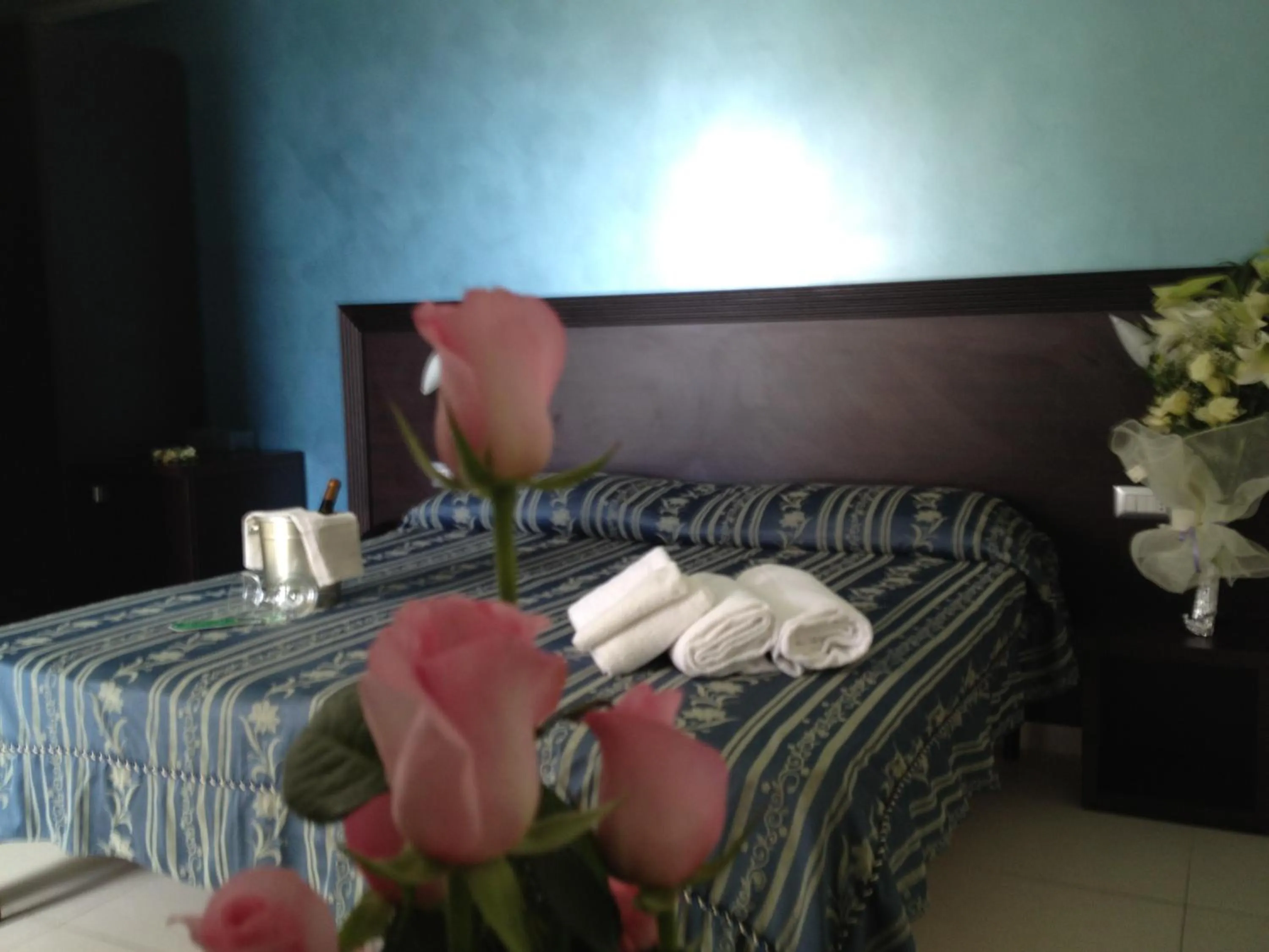 Deluxe Double Room with Balcony and Sea View in Hotel La Rosetta Scauri