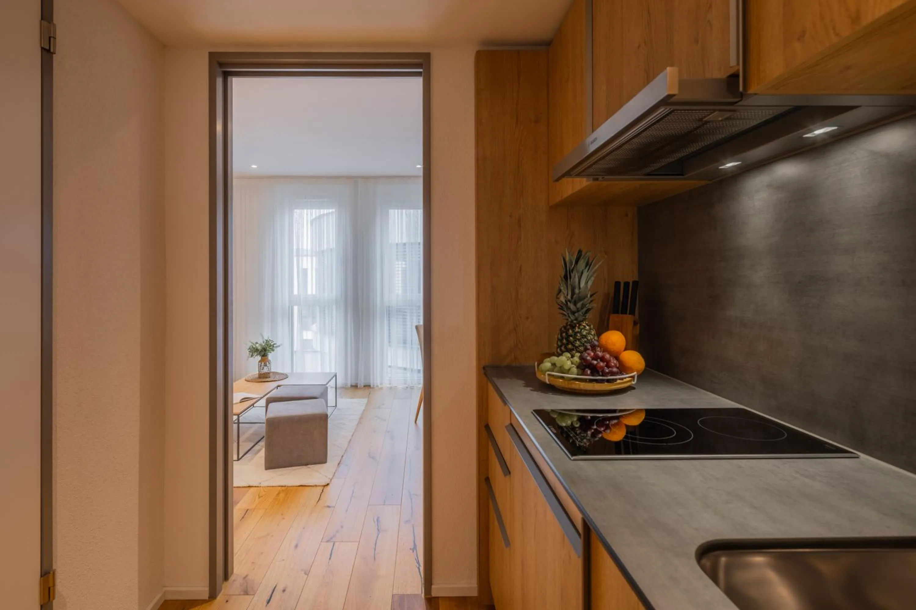 One-Bedroom Standard Apartment in LMS - La Maison Suisse - Döttingen