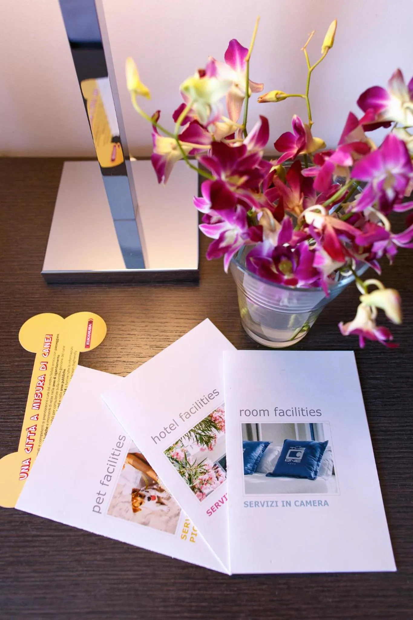 Single Room in The One Hotel - Designed for Adults - Pet lovers