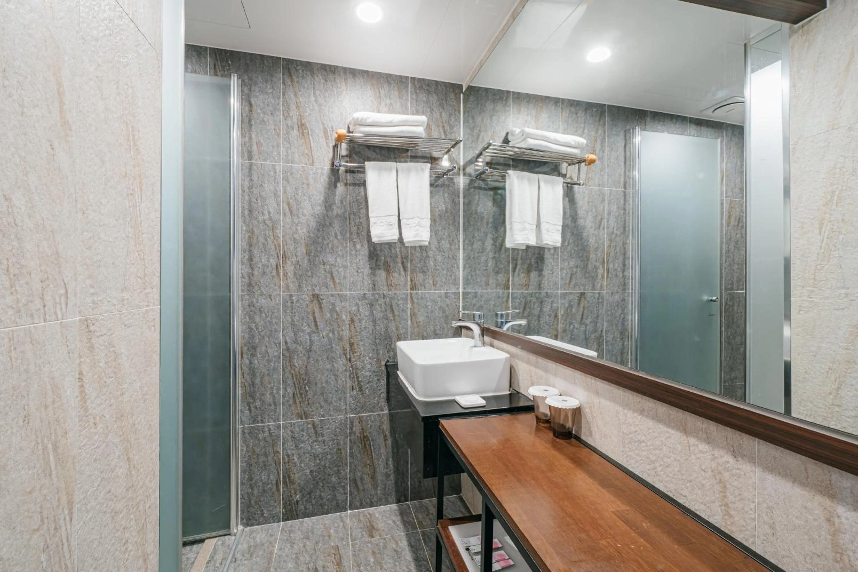 Deluxe Twin Room in Hotel With City