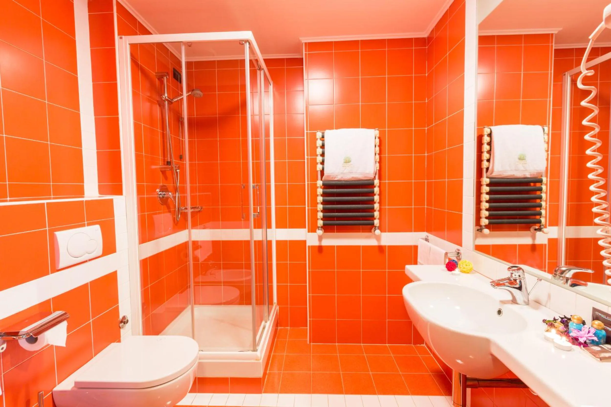 Superior Double Room in Victoria Terme Hotel