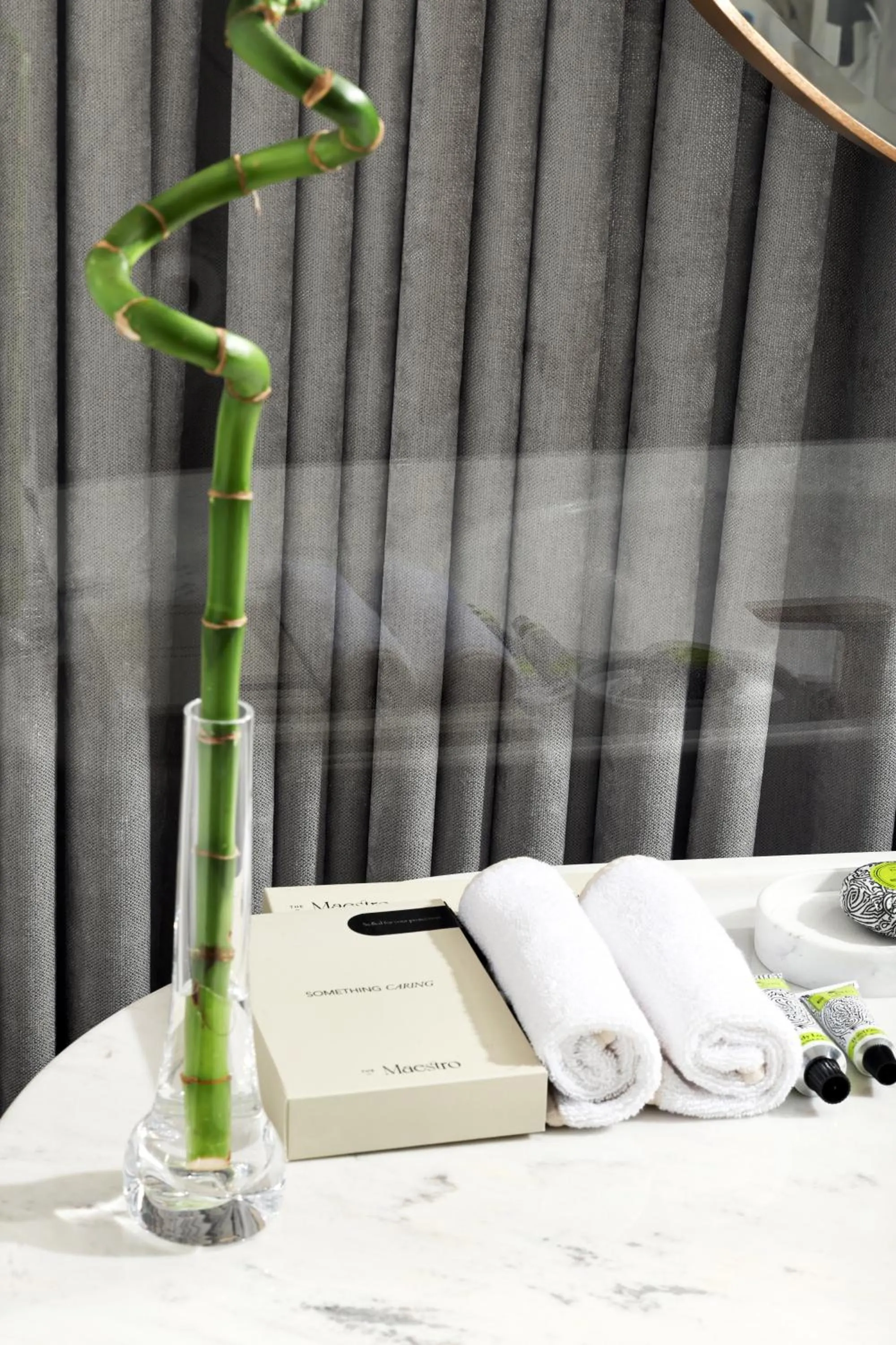 Executive King Room with City View in The Maestro Hotel