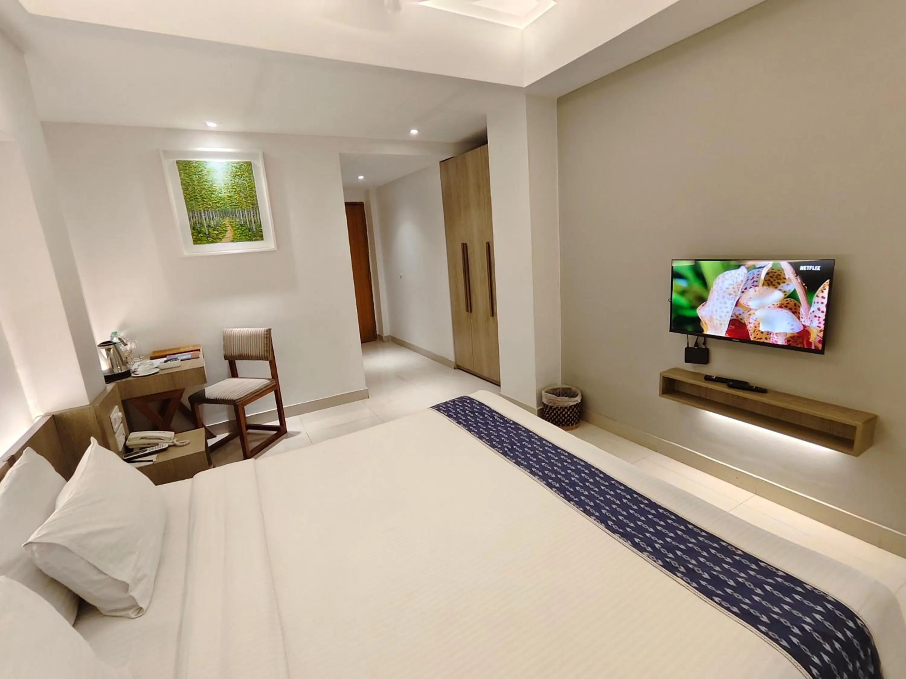 King Room - single occupancy in Hotel Nandini