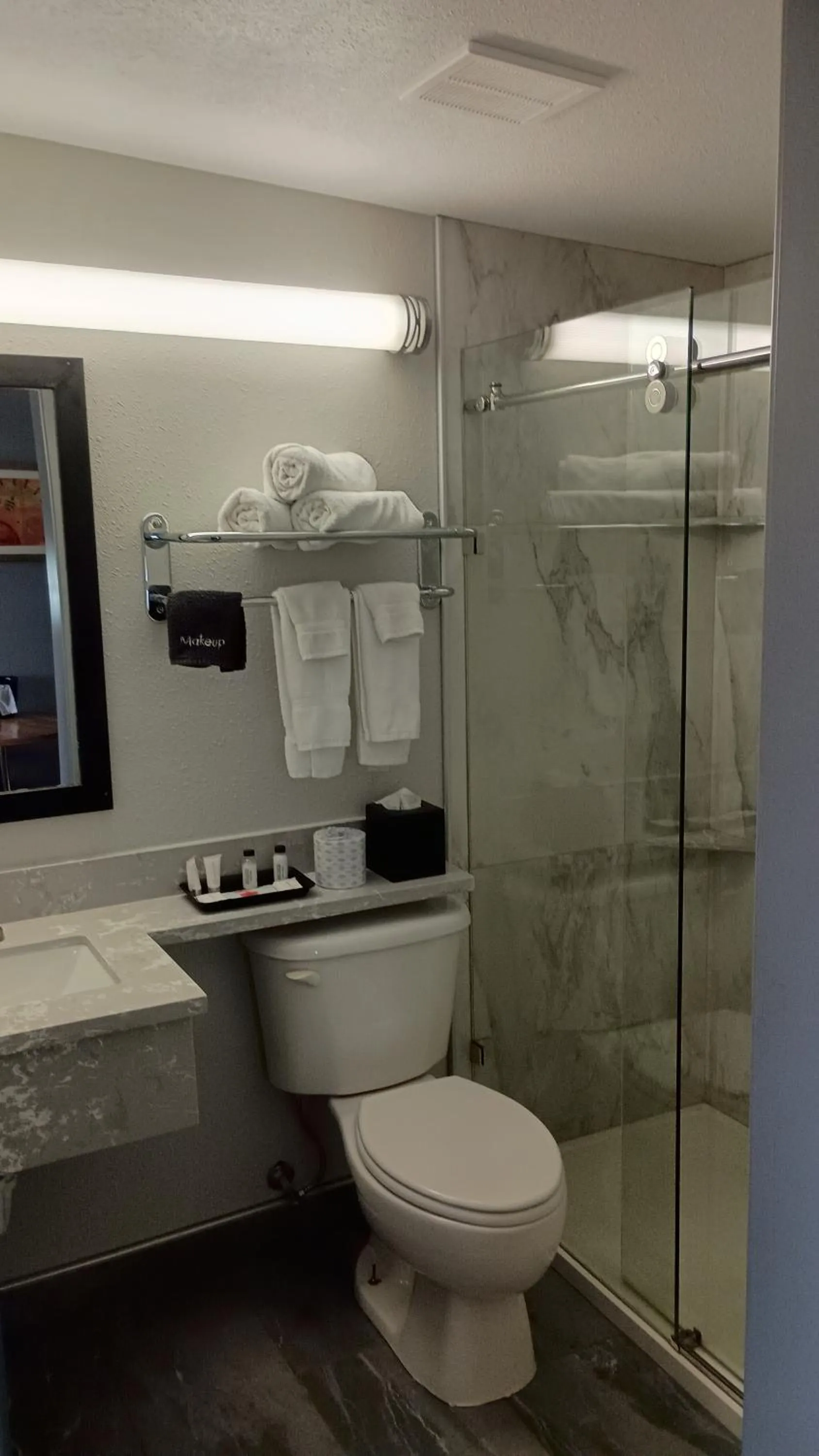 Economy Single Room in Econo Inn