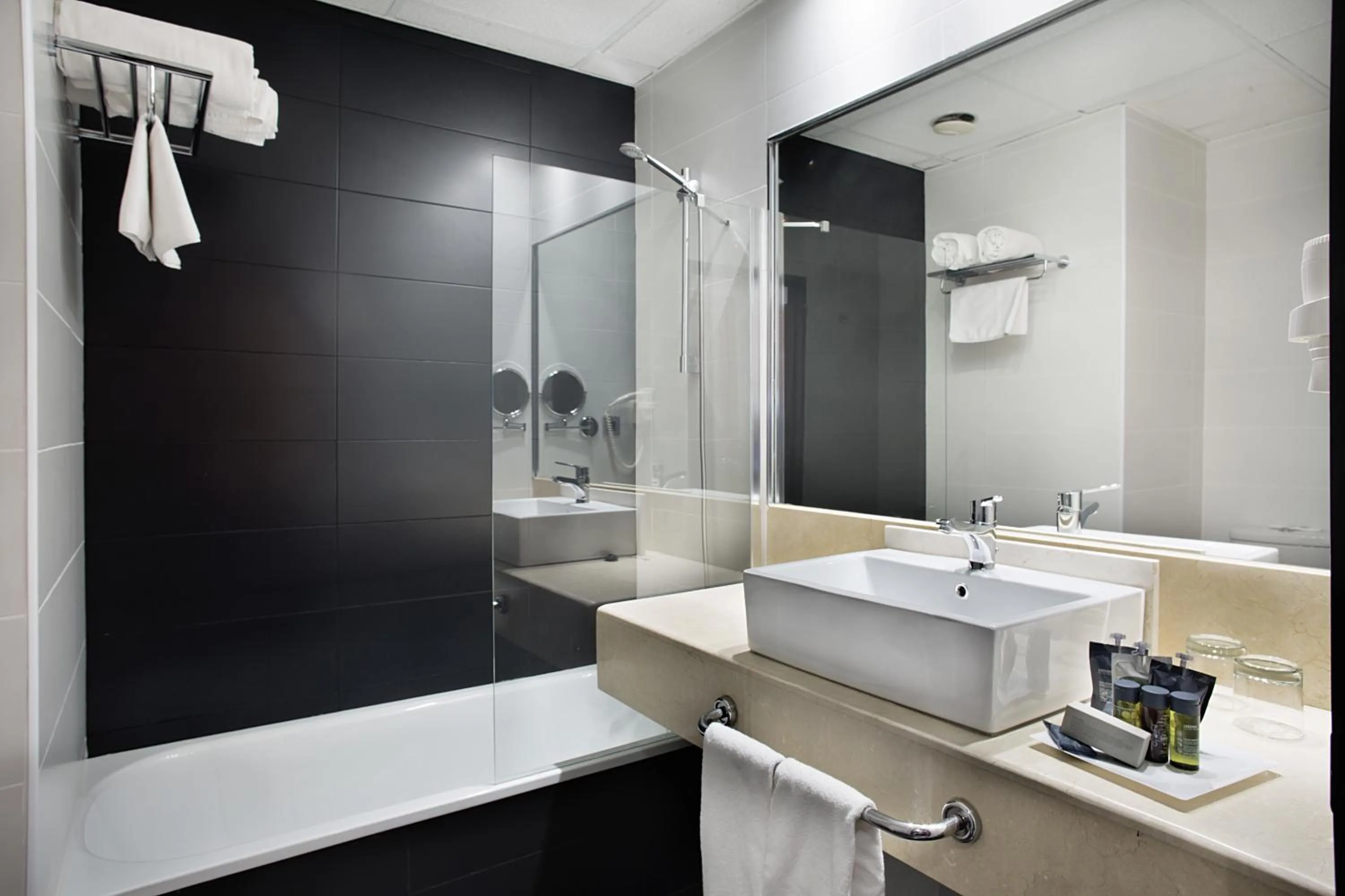 Double or Twin Room with Extra Bed in Hotel Chamartin The One