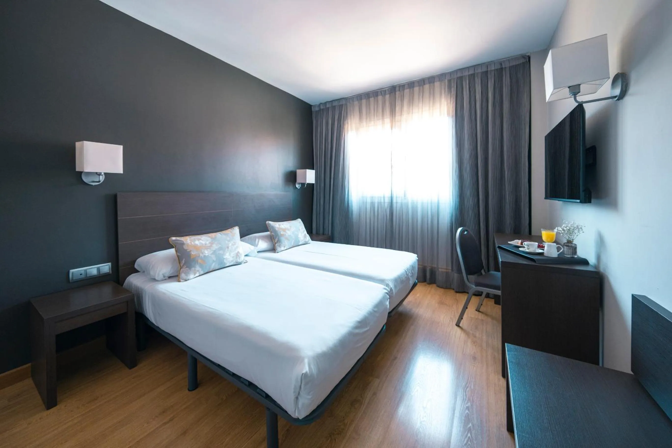 Double or Twin Room in Hotel Cisneros