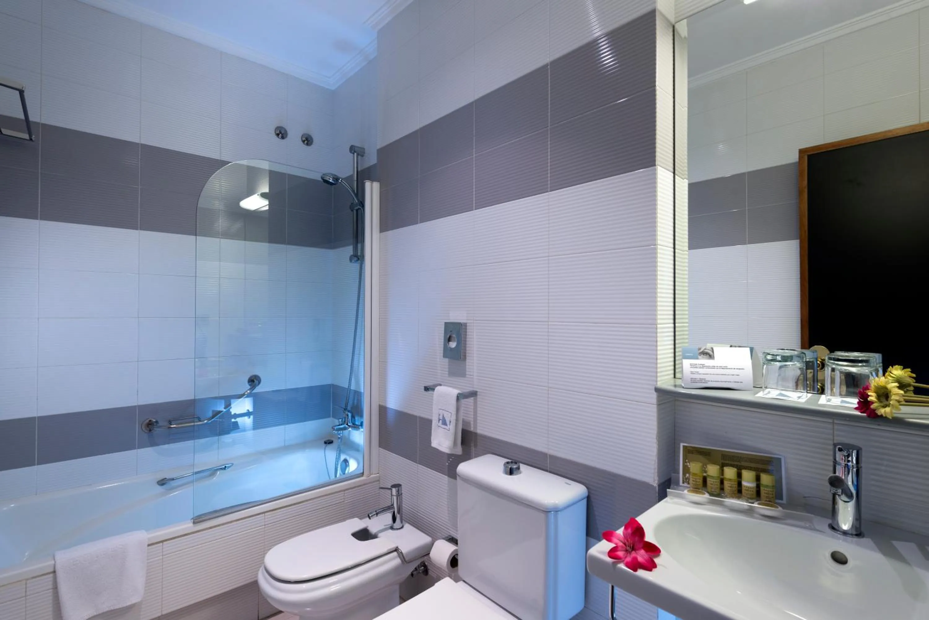 Single Room in Exe Auriense