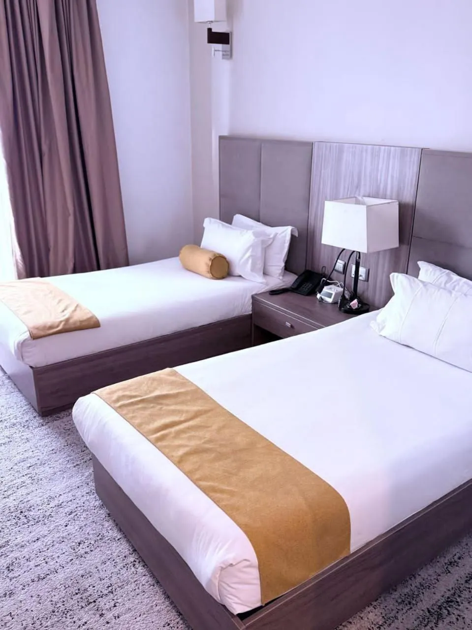 Standard Twin Room in TH BonRoyal Hotel