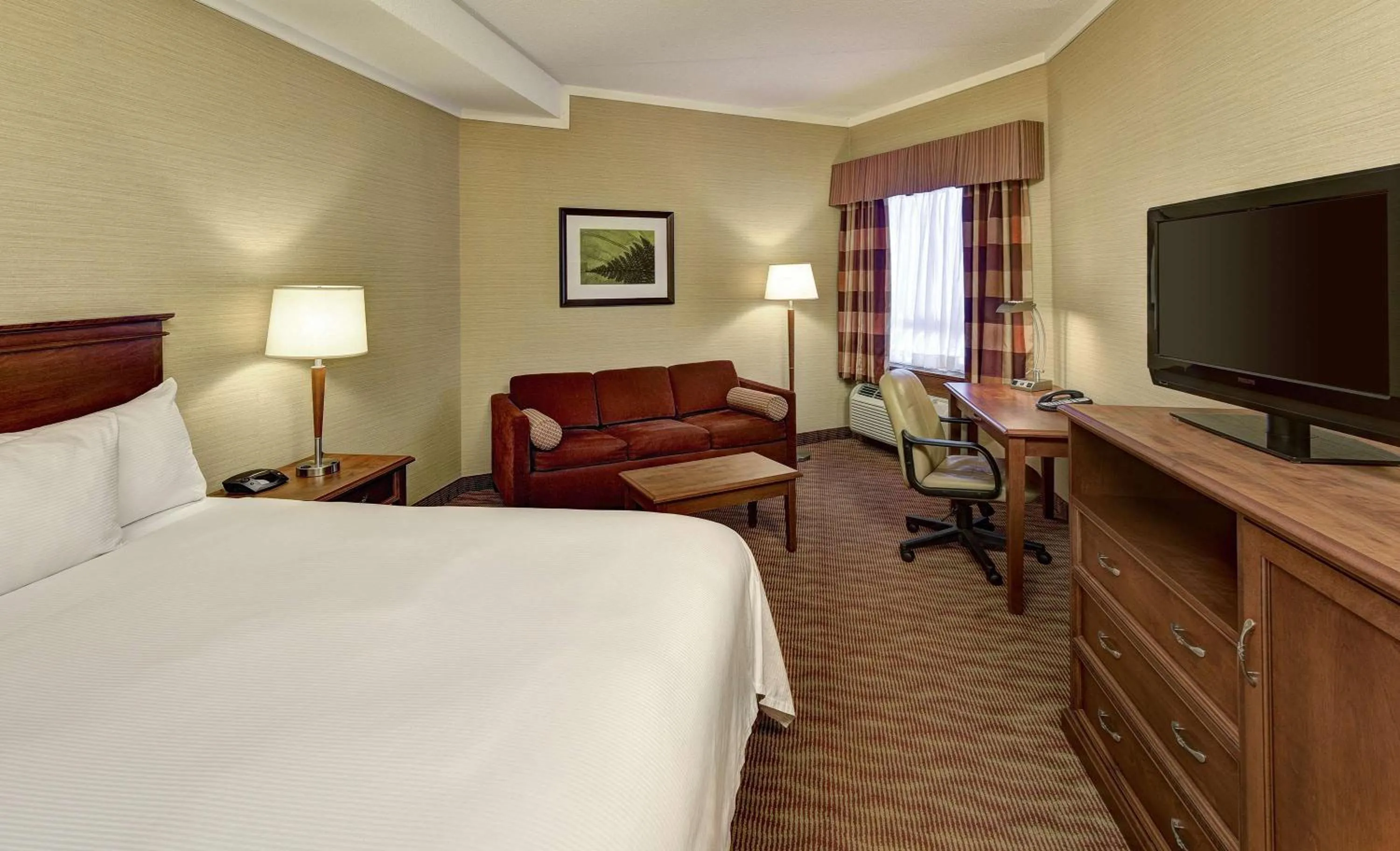 Queen Room with Sofa Bed - Non-Smoking in The Water Tower Inn - BW Premier Collection