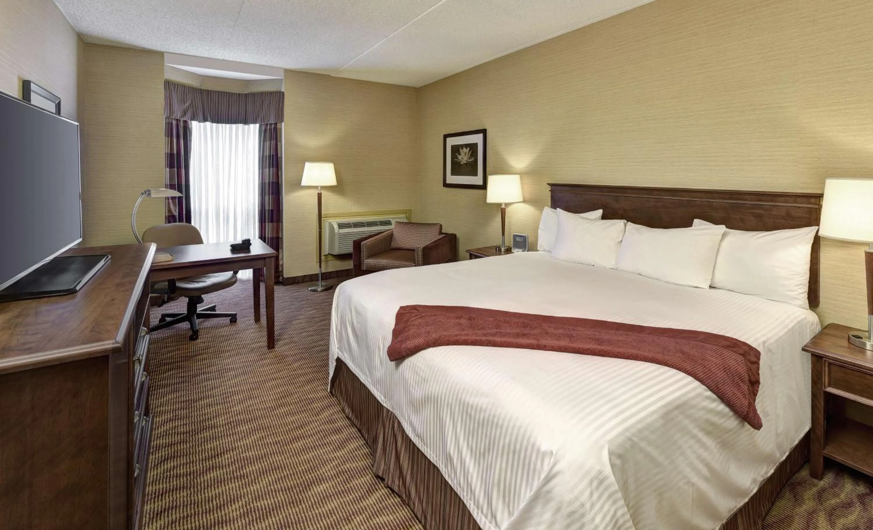 Executive King Room - Non-Smoking in The Water Tower Inn - BW Premier Collection