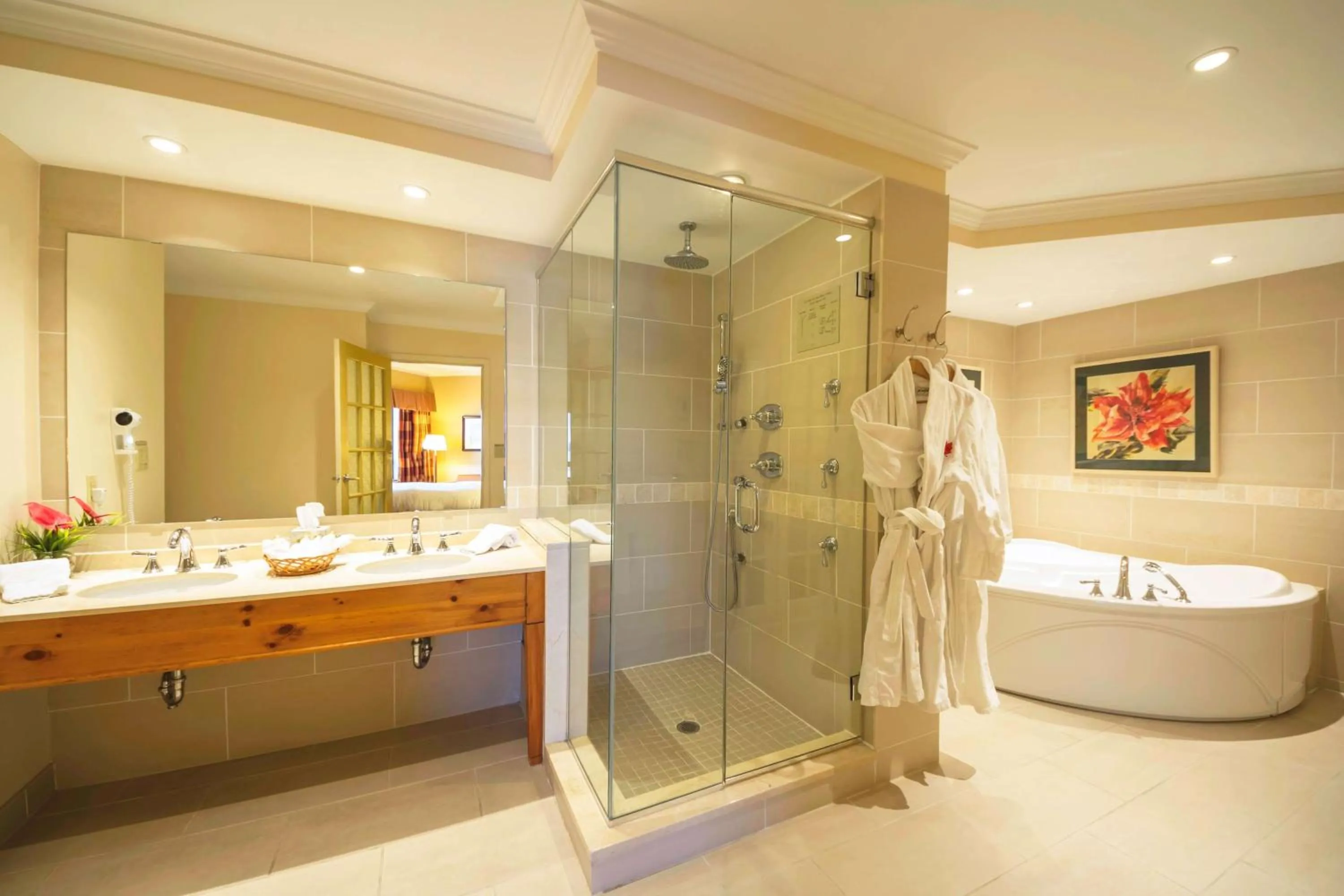 Queen Suite with Fireplace - Non-Smoking in The Water Tower Inn - BW Premier Collection