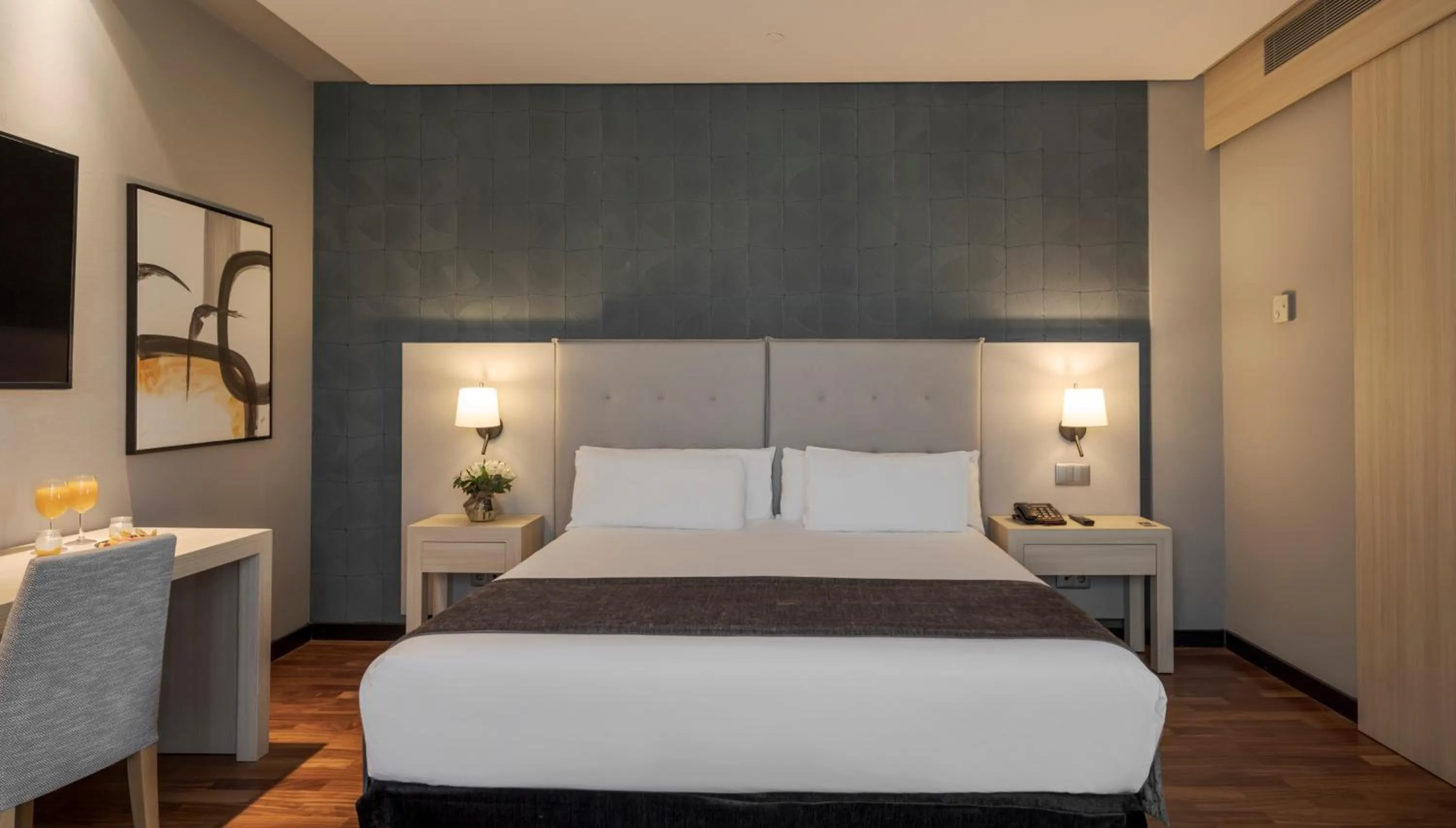 Standard Double Room Pet Friendly in Ilunion Pio XII