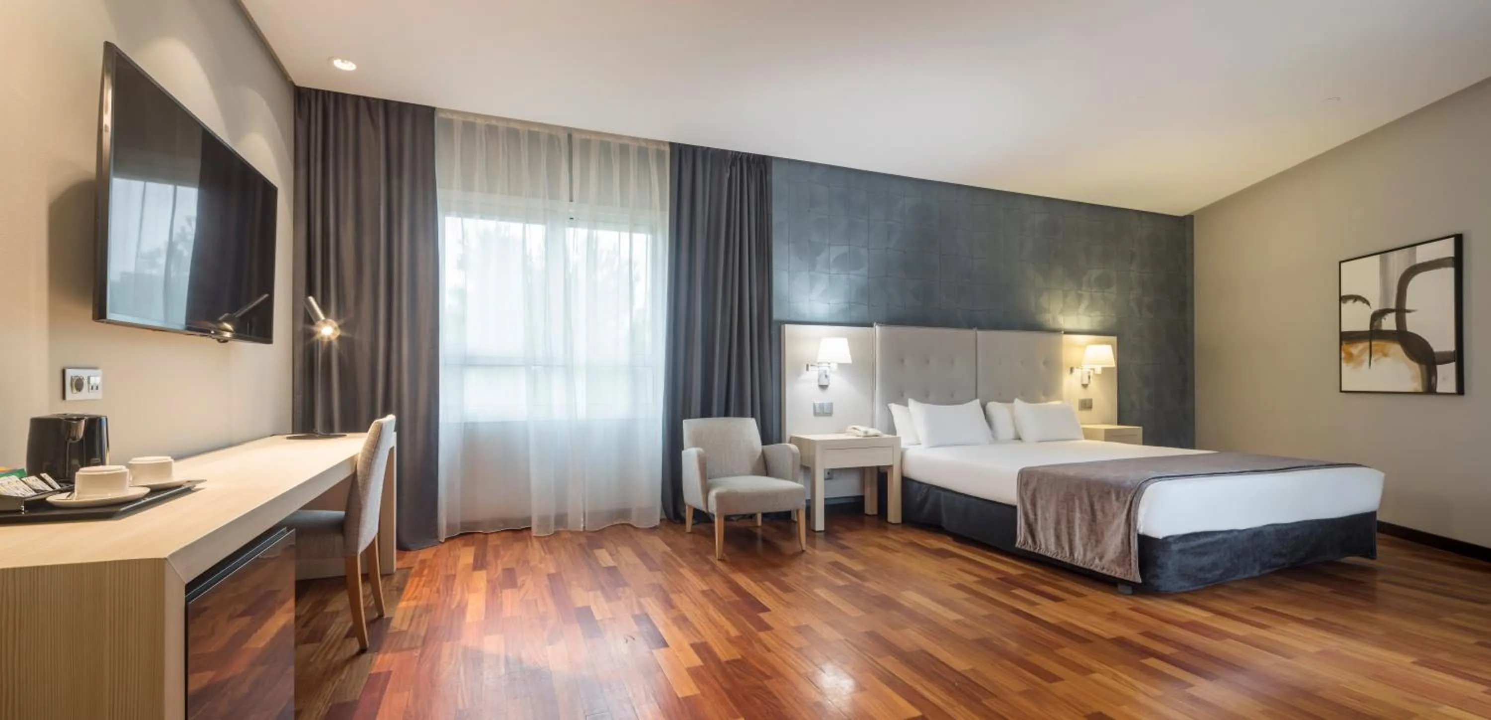 Superior Double or Twin Room in Ilunion Pio XII