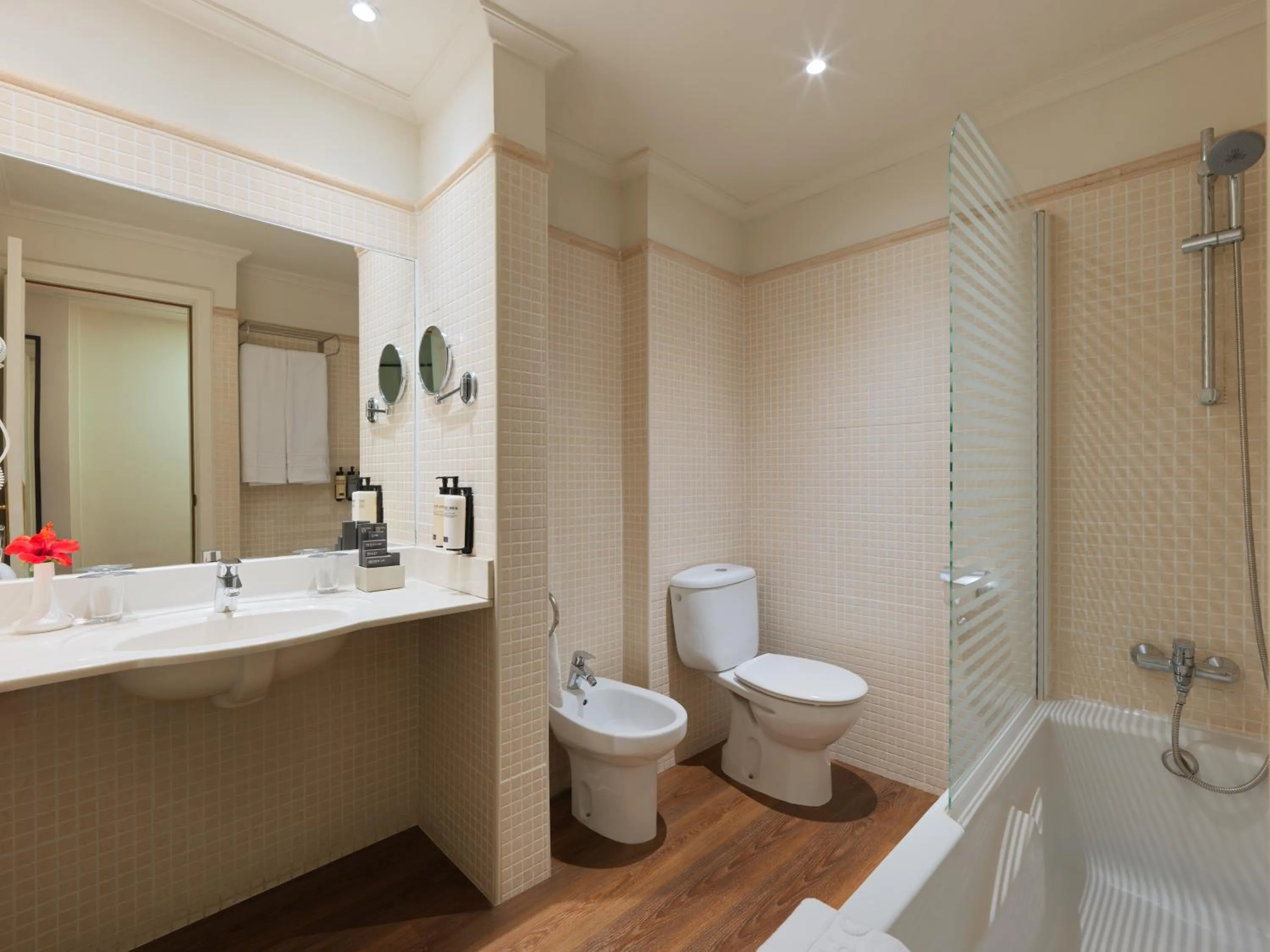 Double Room with Sea View (3 adults) in H10 Las Palmeras