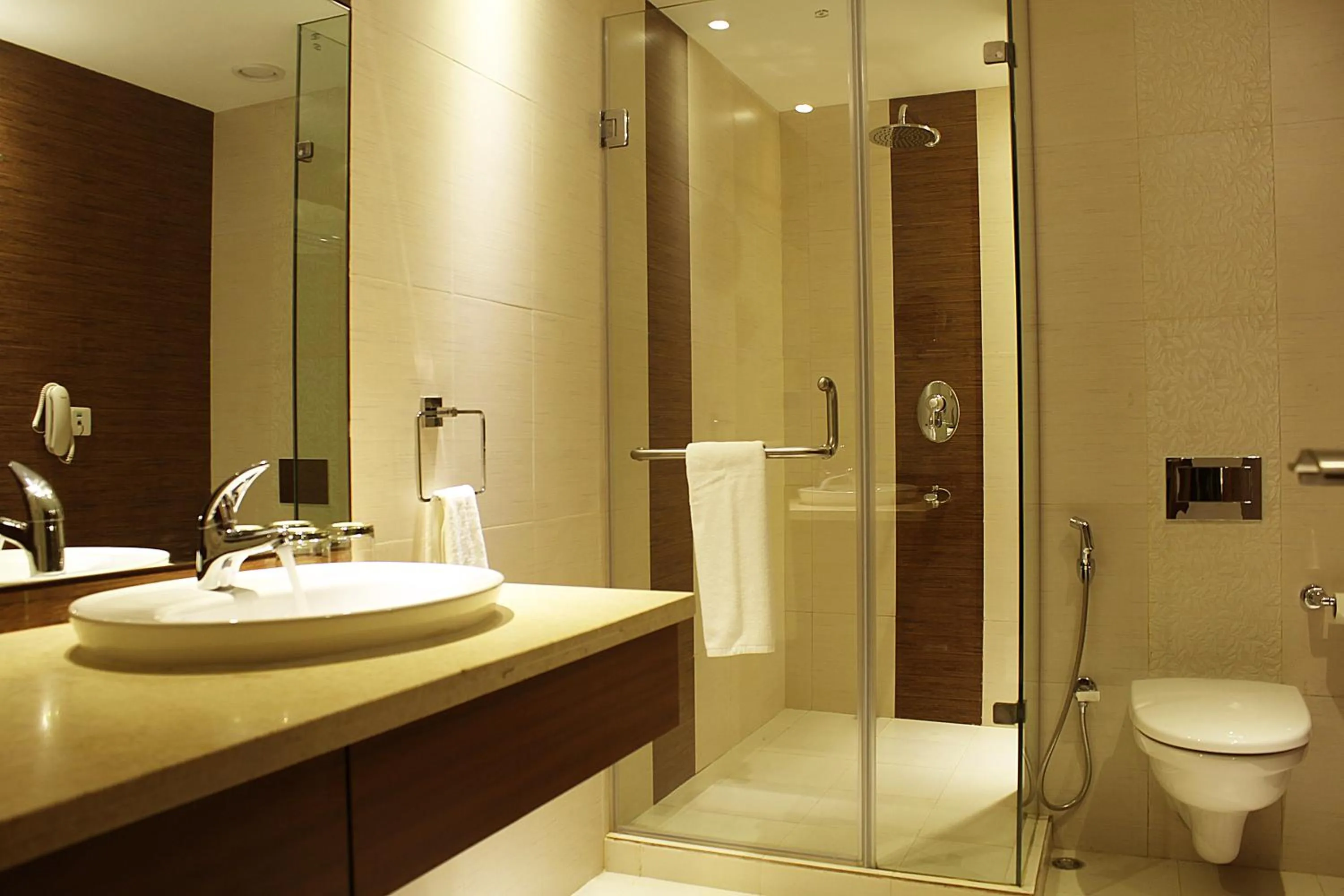 Deluxe Double or Twin Room - single occupancy in Celesta Hotel - Kolkata