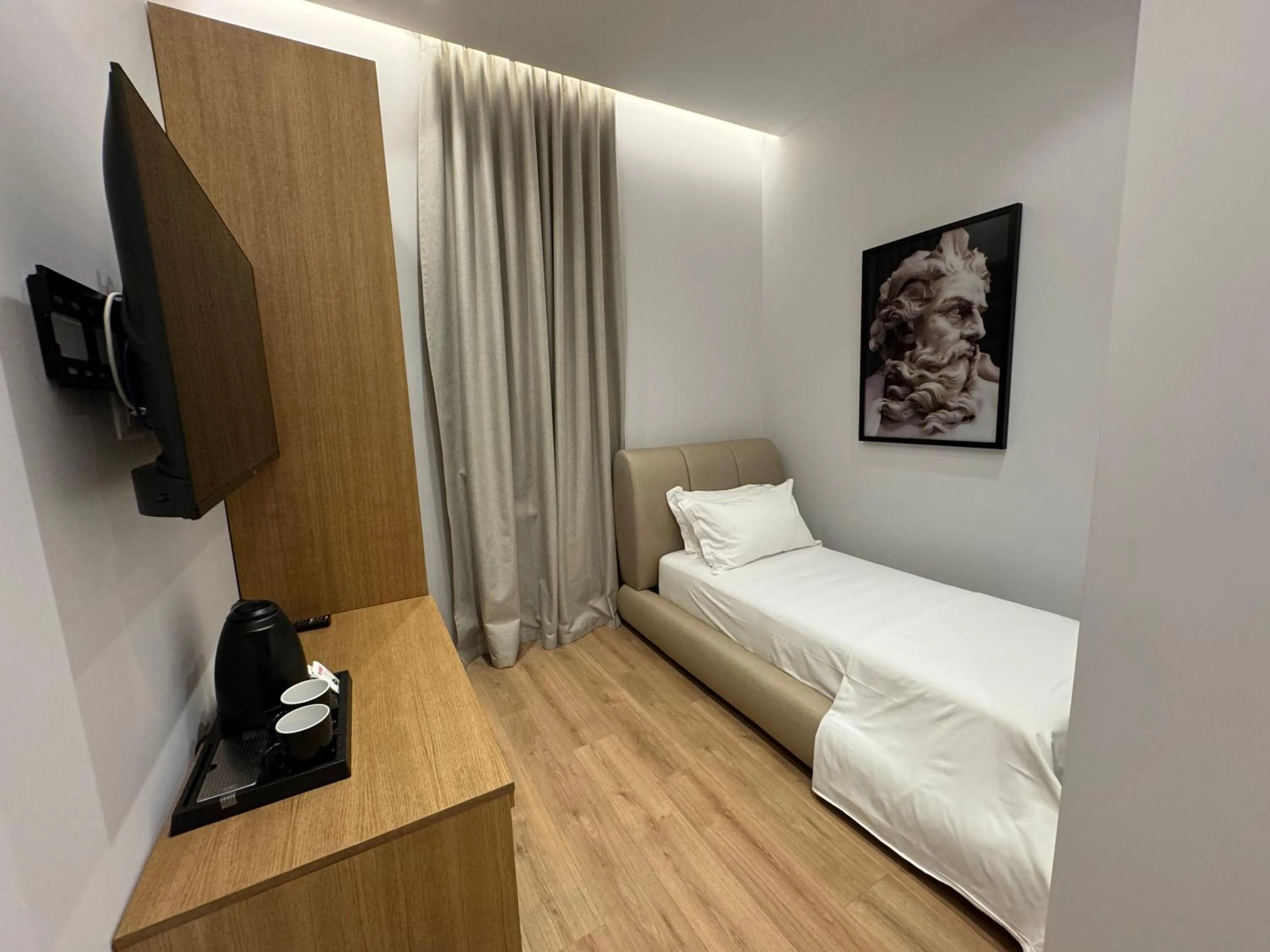 Deluxe Single Room in Hotel Vila Zeus