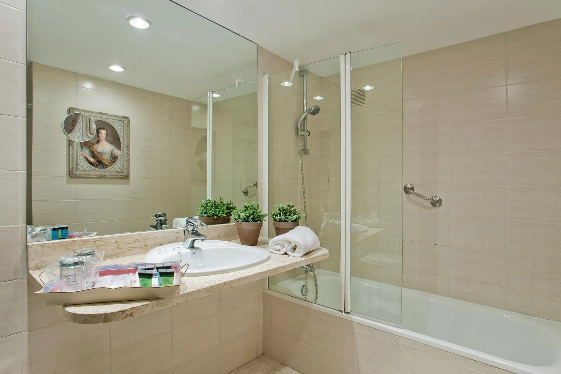 Standard Double Room in Hotel Luze El Toro