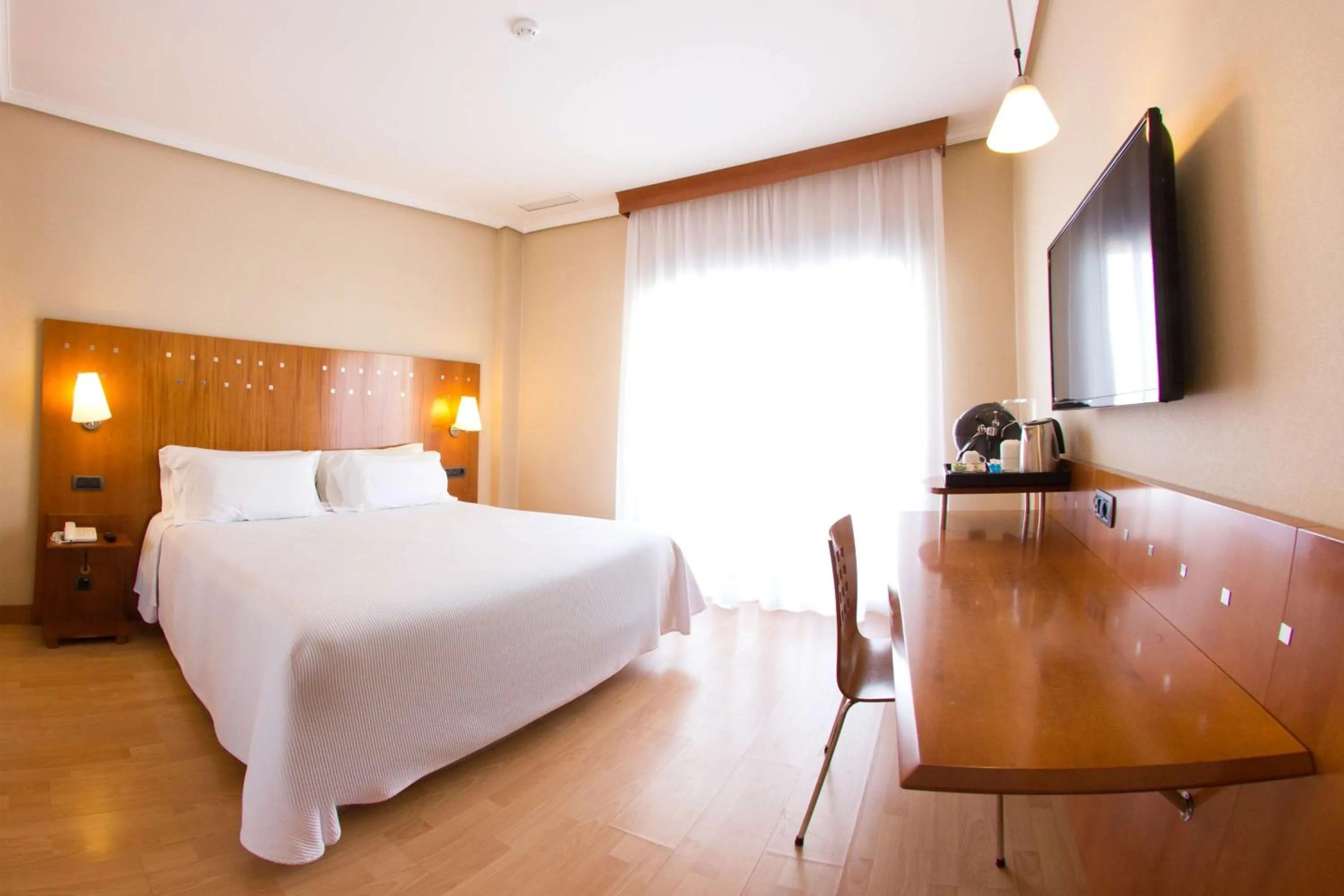 Standard Double Room in NH San Pedro de Alcántara